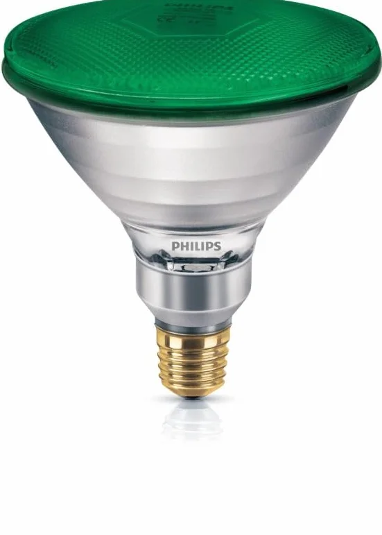 Lampe à réflecteur PAR-38 Vert 80 W E27