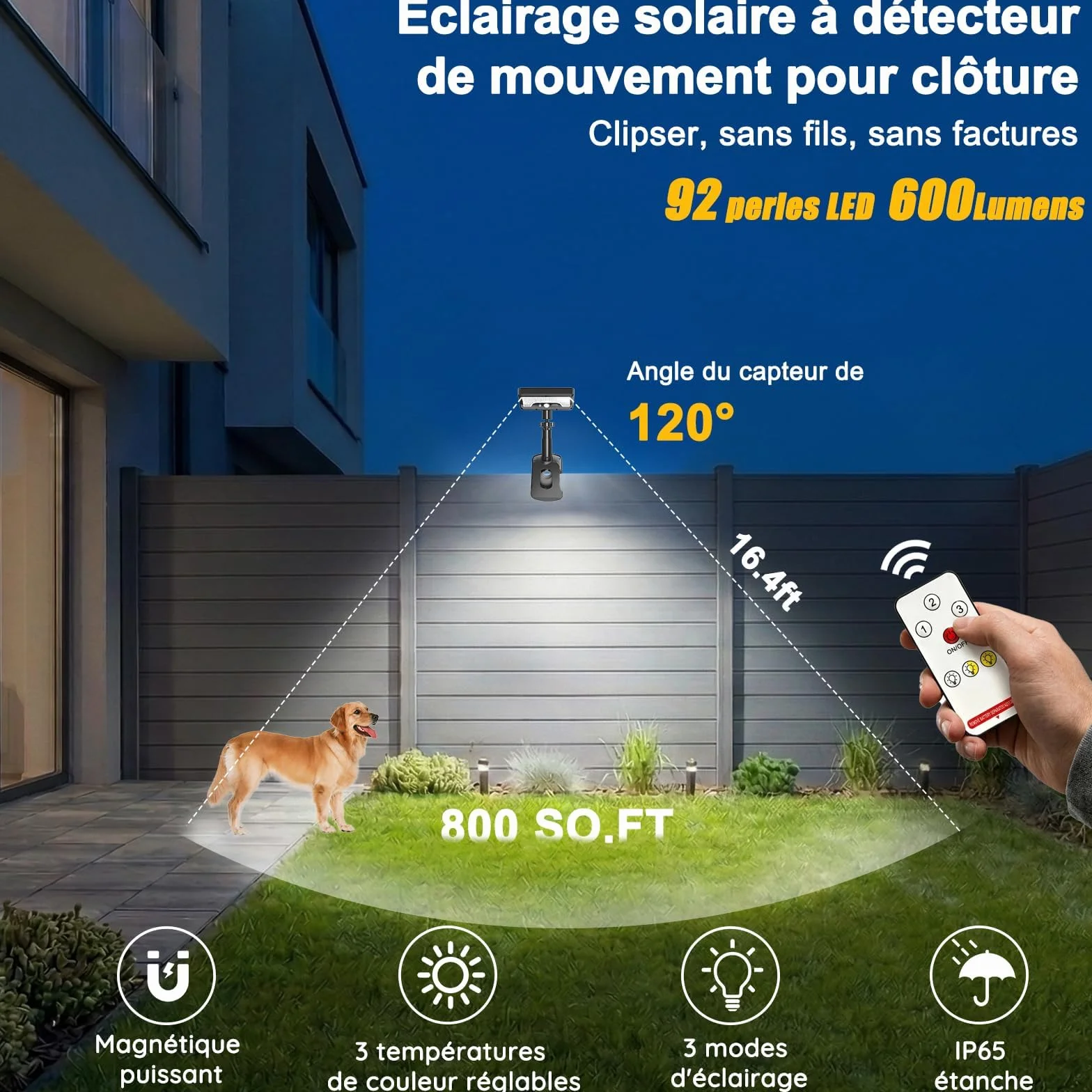 Lampes Solaires D'Extérieur avec Télécommande et Détecteur de Mouvement, Lot de 2
