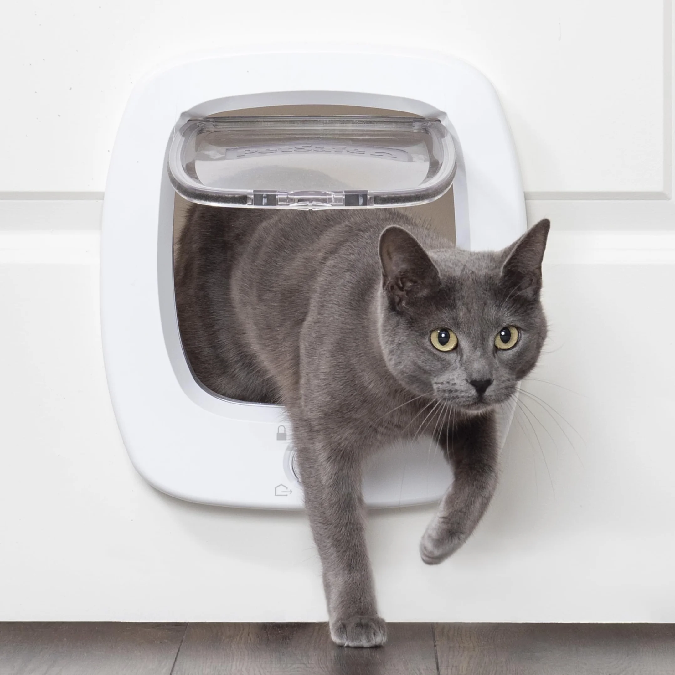 PetSafe Chatière Grande Porte pour Animaux Intérieure et Extérieure 4 Options de Fermeture Volet Douce pour Chats et Petits Chiens