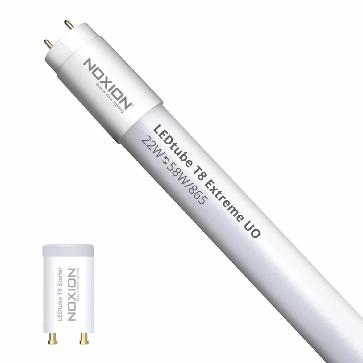 Noxion Tube LED T8 Avant Extreme 20.6W 3300lm 865 150cm Équivalent 58W