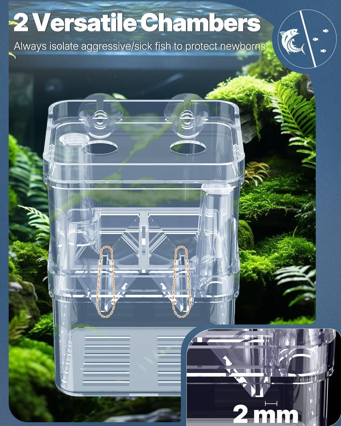 Pawfly Aquarium Boîte d'élevage en Plastique Transparent pour Poissons Incubateur Guppy