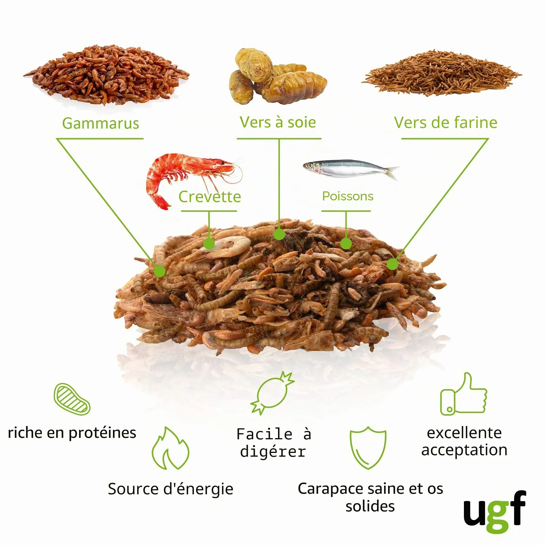 UGF Mélange Alimentaire Universel pour Tortues 500 g en Seau de 3 litres