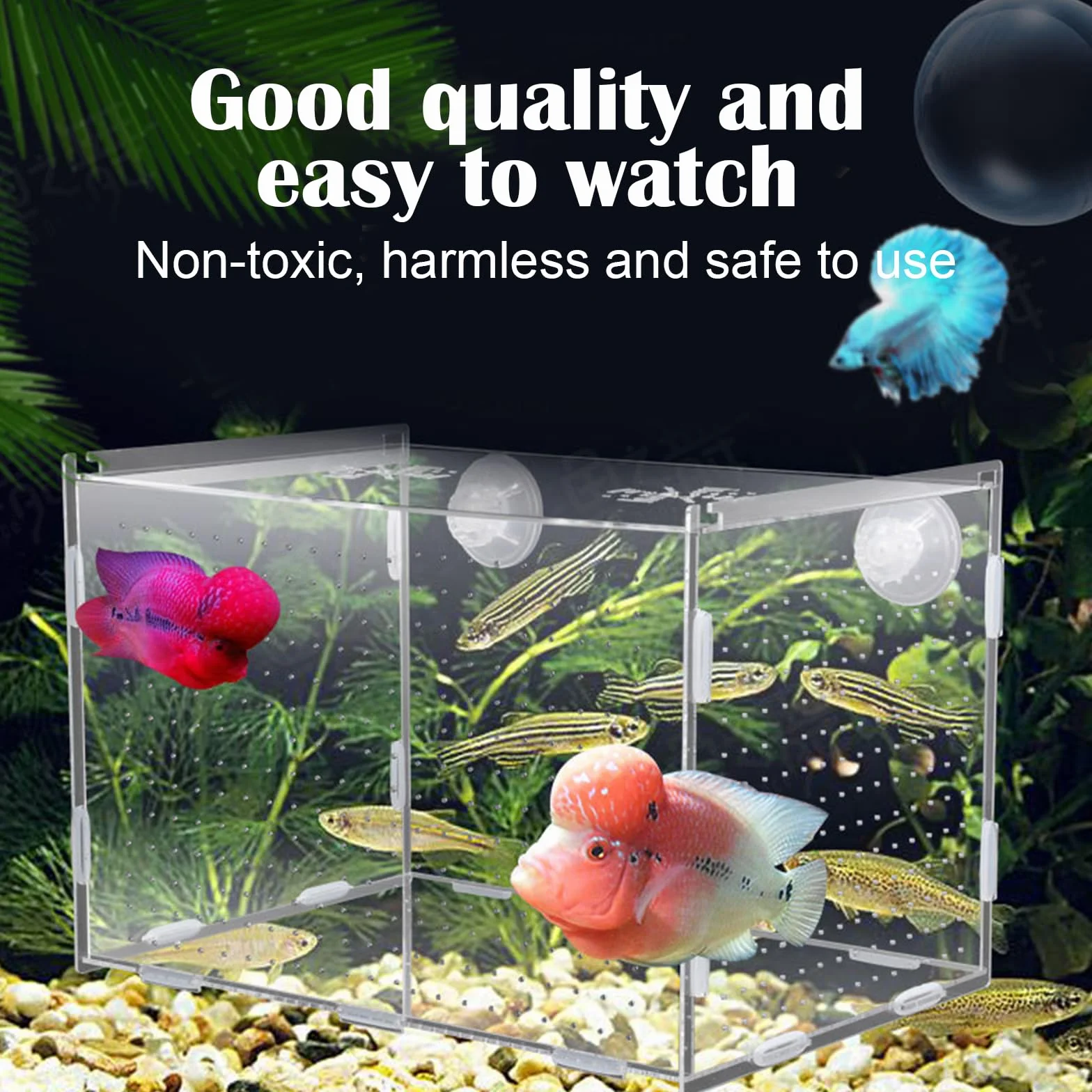 Boite Elevage Poisson Aquarium Breeding Box Boîte D'isolement Poissons Nurserie