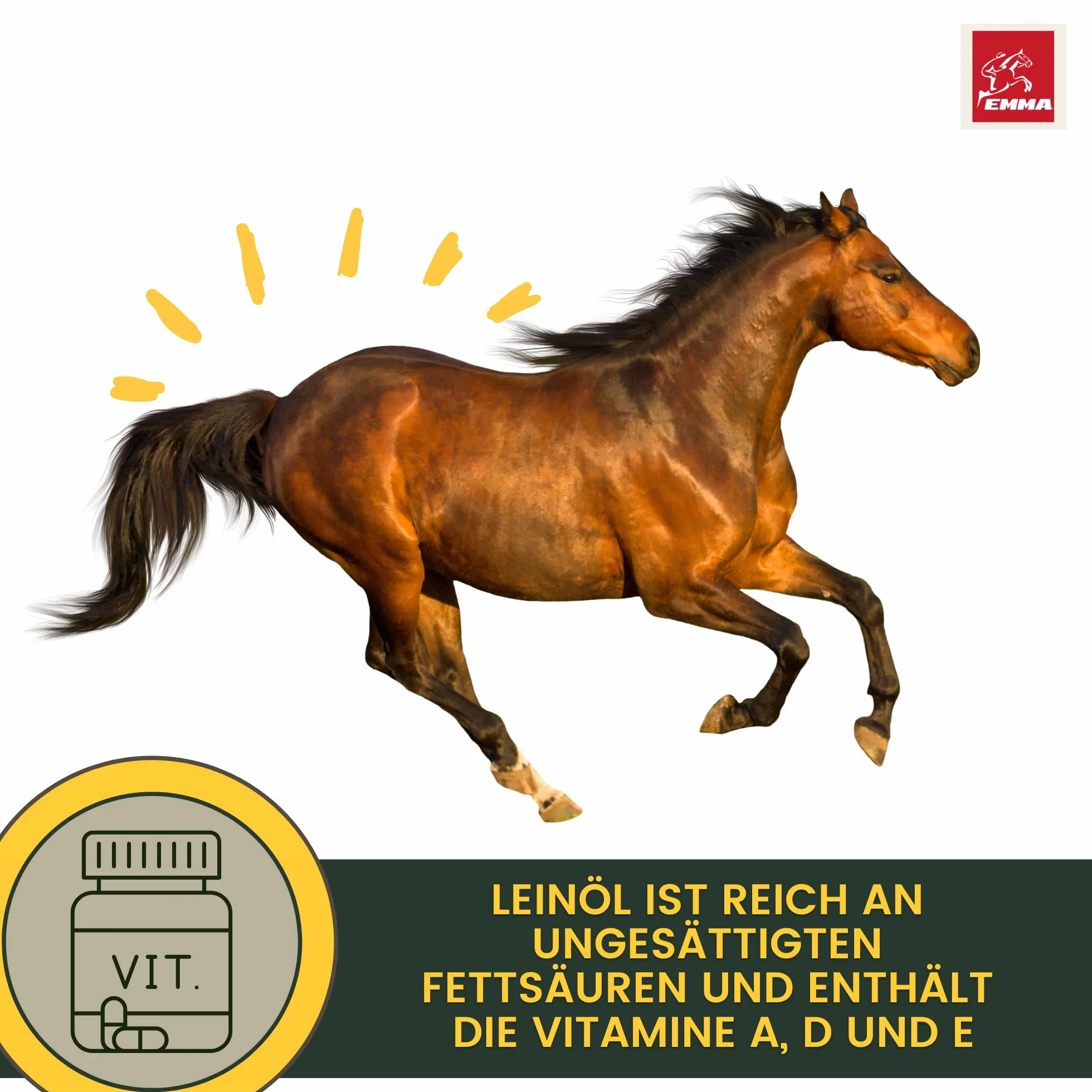 Huile de Lin Chevaux Chiens Chats 1L pressée à Froid Oméga 3 Acides Gras