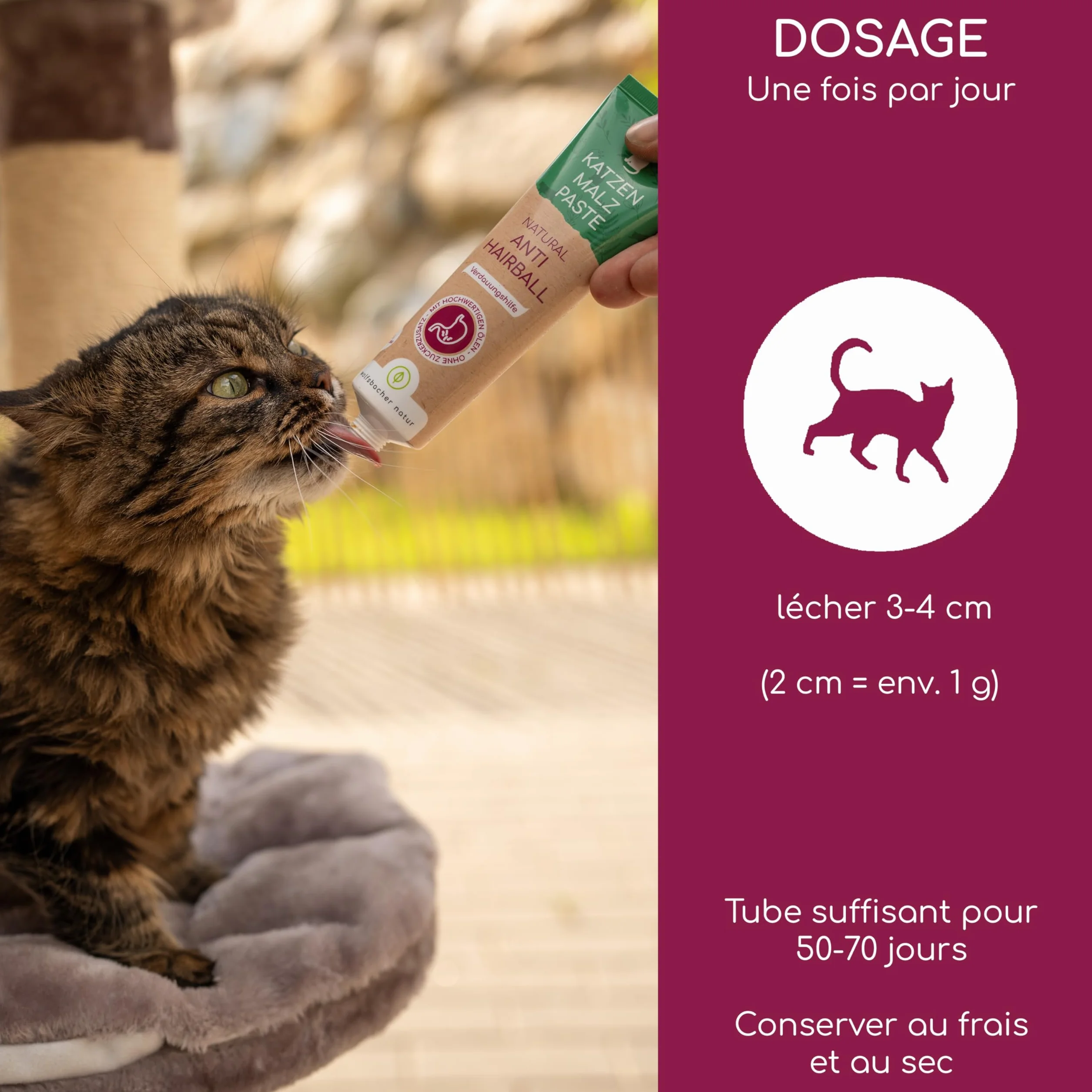 Pâte de Malt pour Chat Anti Boules de Poils 100g