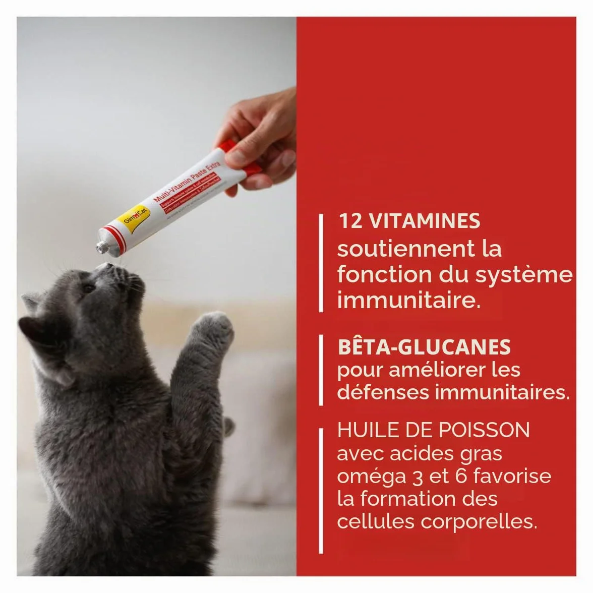 GimCat Pâte Multi-Vitamin Extra Snack chats bêta-glucane oméga-3 oméga-6 1 tube 50 g