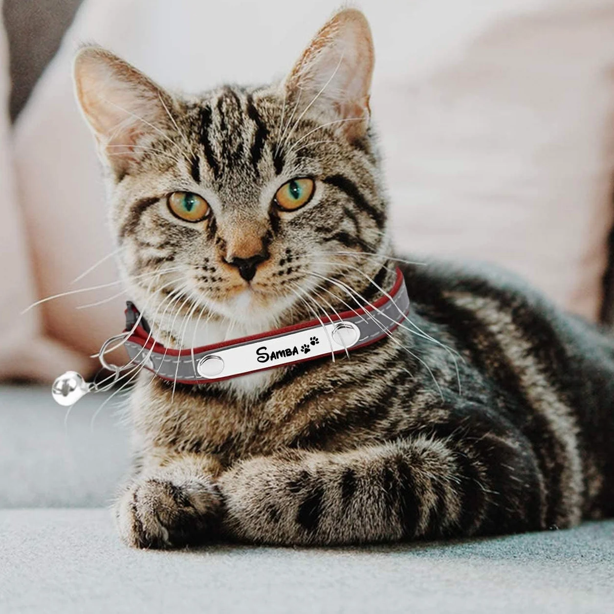 Collier Chat avec Gravure personnalisée, Clochette, Boucle sécurité Anti-étranglement, Bande réfléchissante