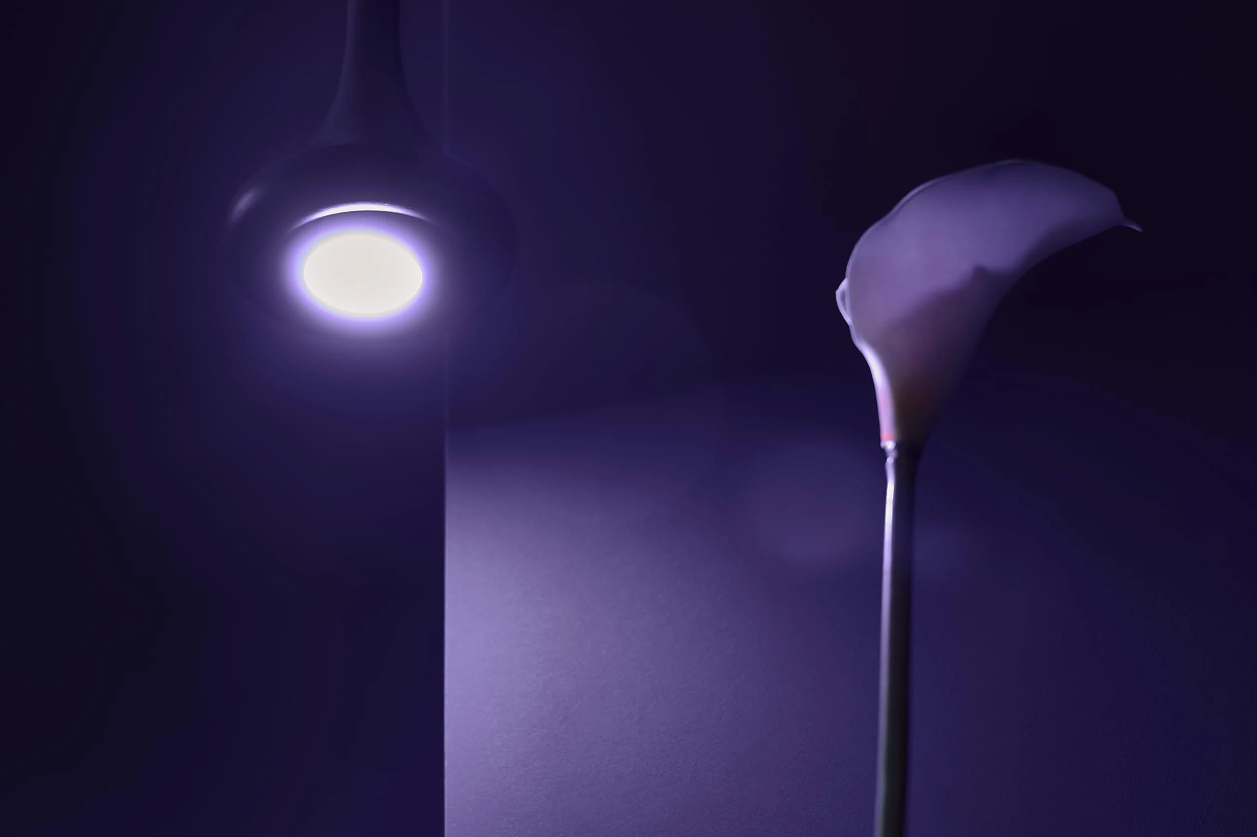 Shelly Duo GU10 Blanche Ampoule LED Wi-Fi Connectée 5W 100-240V 400lm Dimmable Blanc Chaud-Froid 2700K-6500K