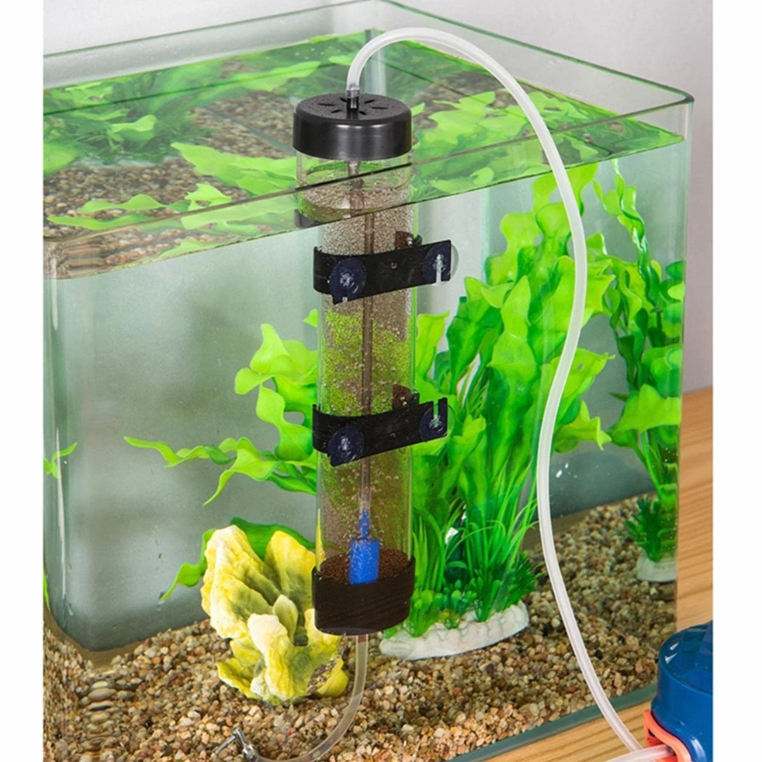 Écloserie d'œufs d'Artemia Incubateur pour Aquarium