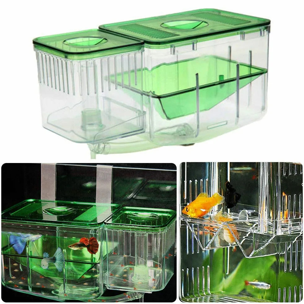 Filet d'élevage de Poissons, incubateur d'aquarium, boîte d'isolation multifonctionnelle