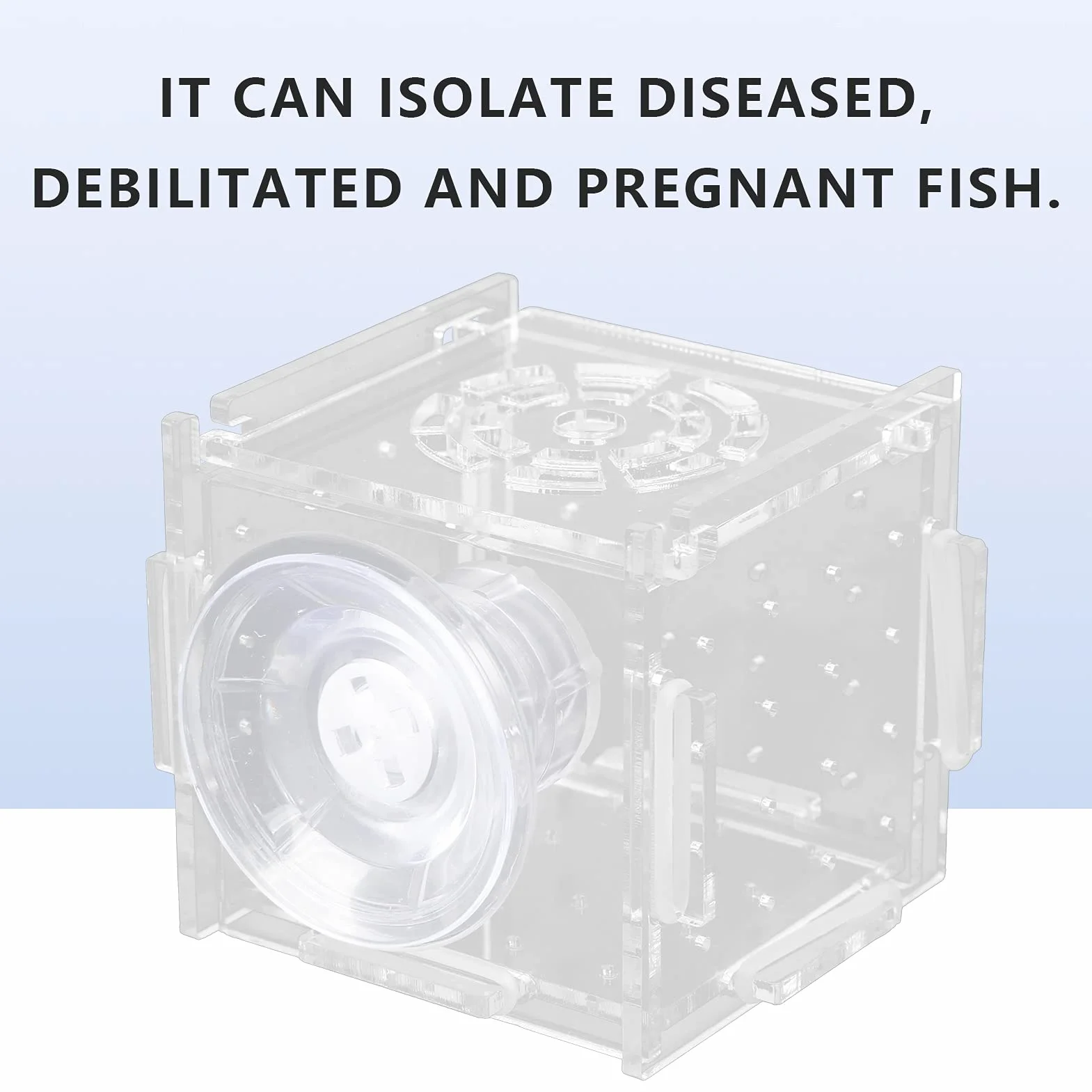 Éleveur de boîte d'isolement, boîte d'élevage d'incubateur pour poissons crevettes bébé (Grille Simple Petit Mini 6*6*6)