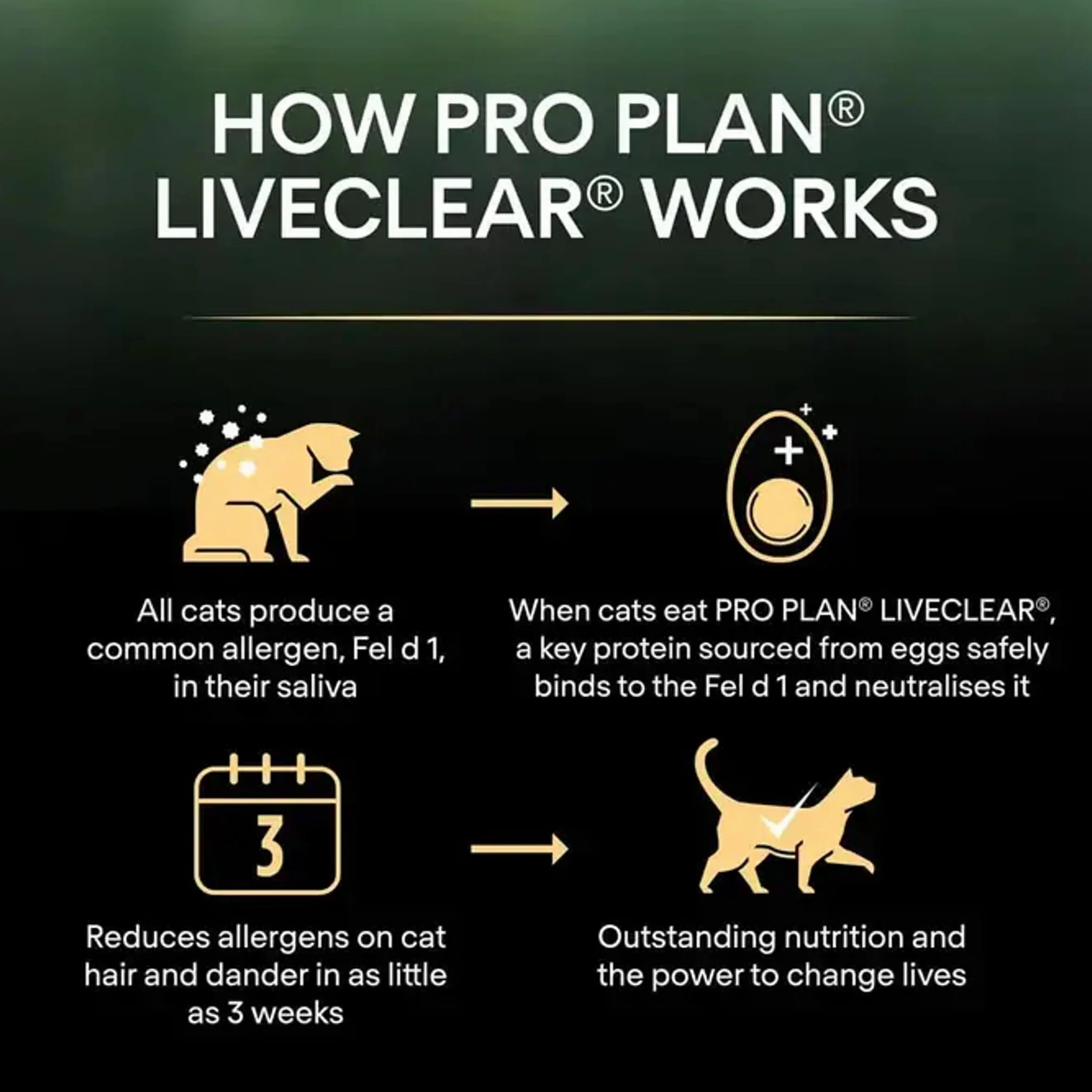 PURINA PRO PLAN Liveclear Croquettes Chat Adulte Stérilisé Dinde 1,4kg