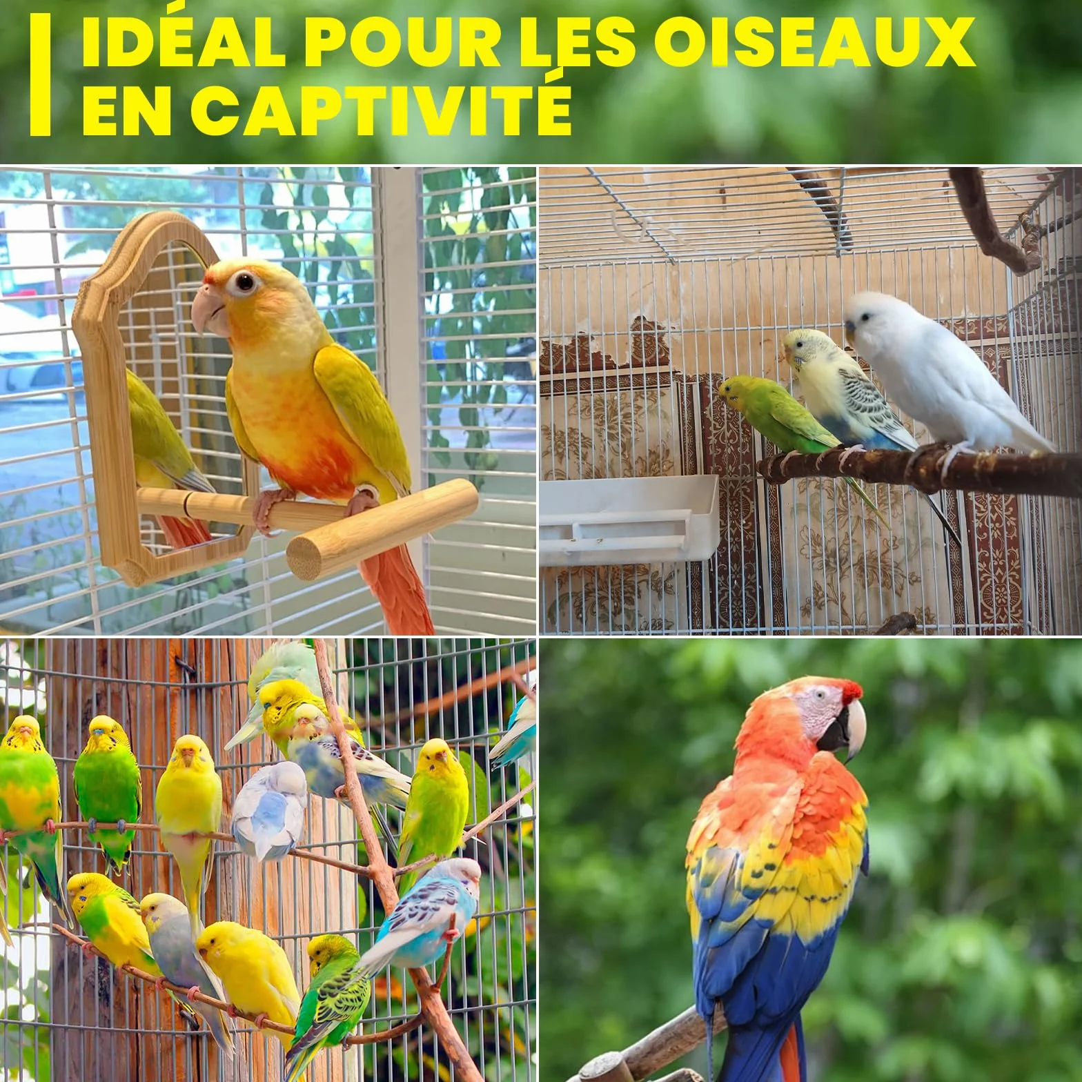 Lampe UVB 5.0 23W E27 pour Oiseaux Perroquets Reptiles