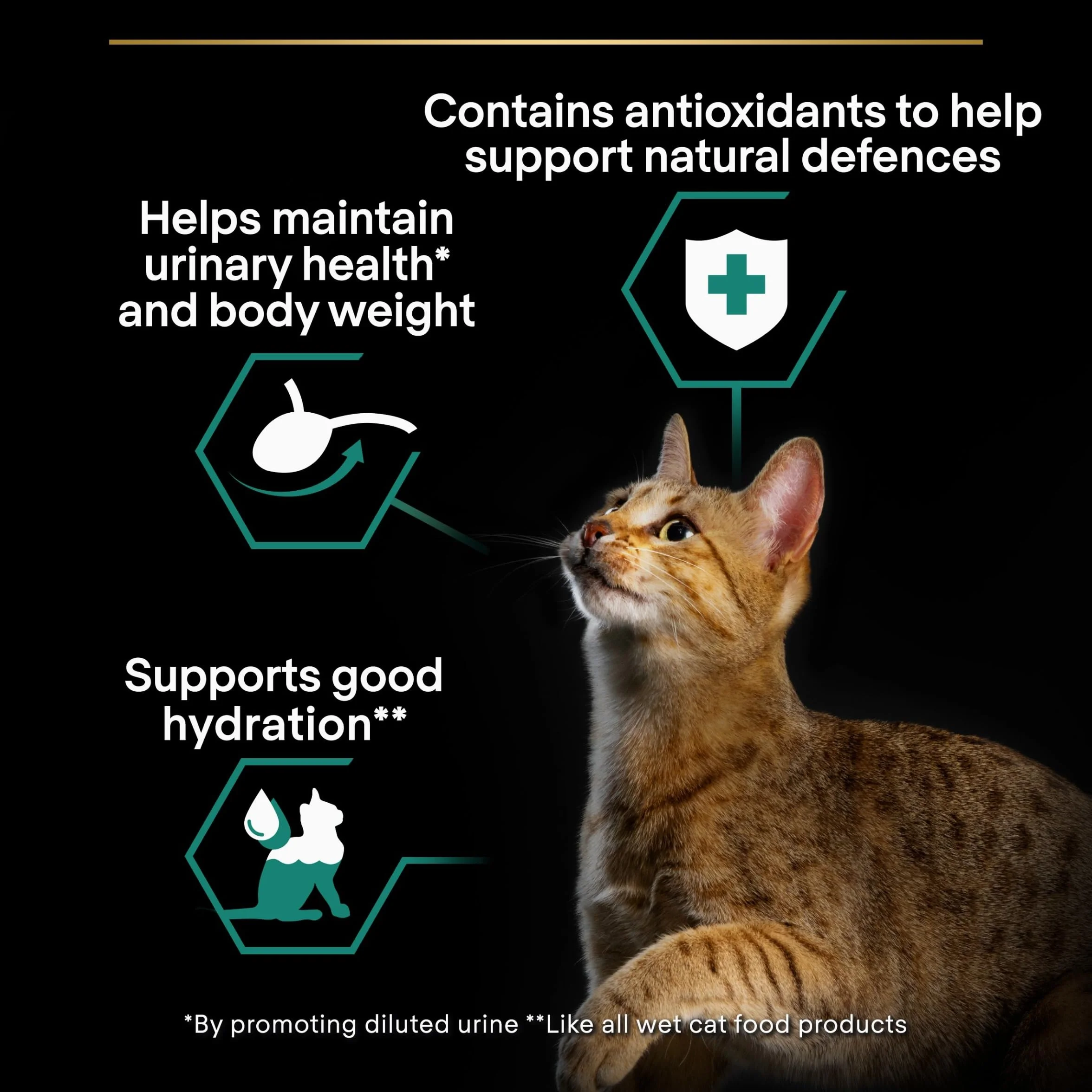 PURINA PRO PLAN Adult STERILISED MAINTENANCE Aliment Complet pour Chat Adulte Stérilisé Effilés en Sauce Poulet, Boeuf Sachets 40x85g