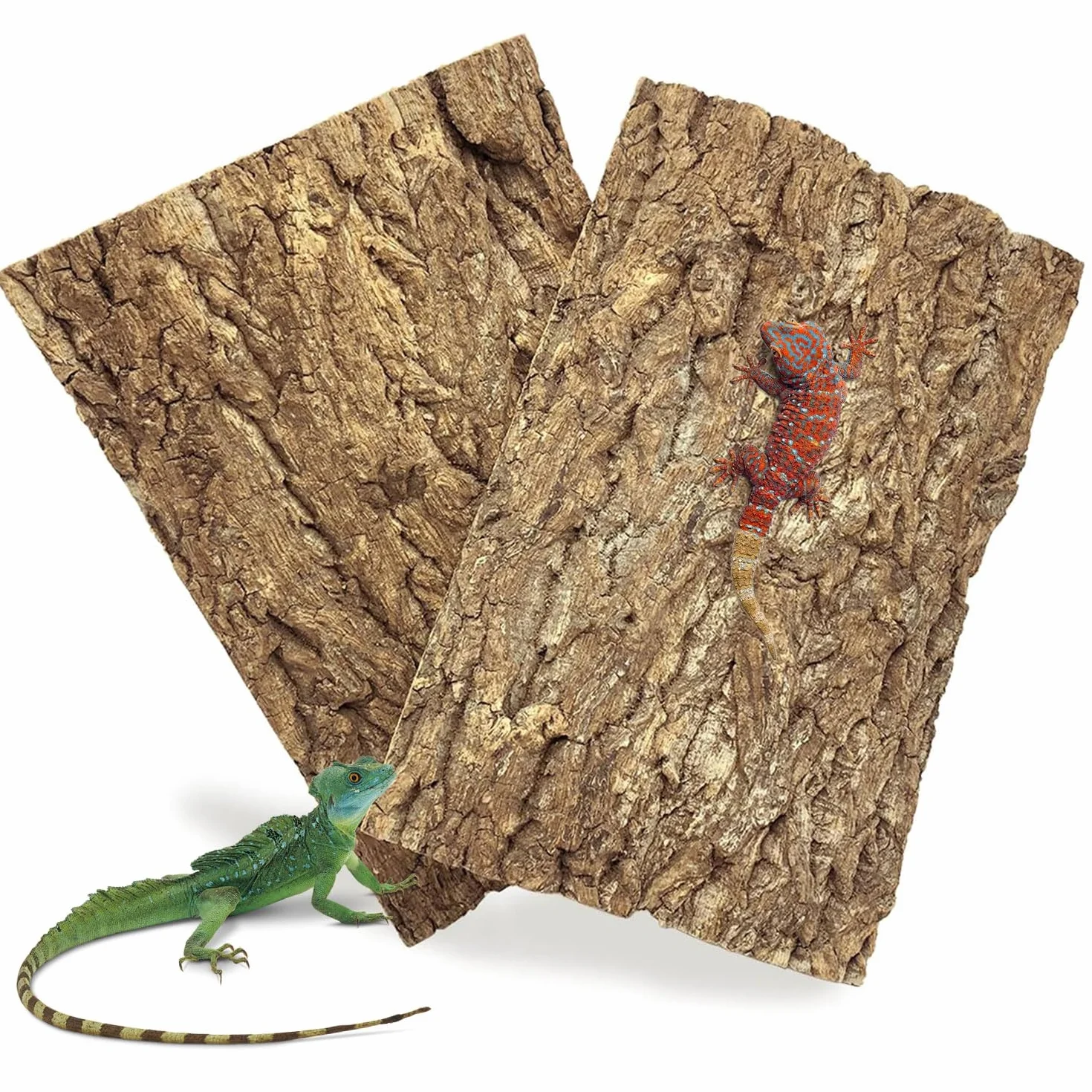 Lot de 2 Parois Arrière en Écorce de Liège pour Terrarium 15 x 20 cm Fond Naturel pour Reptiles