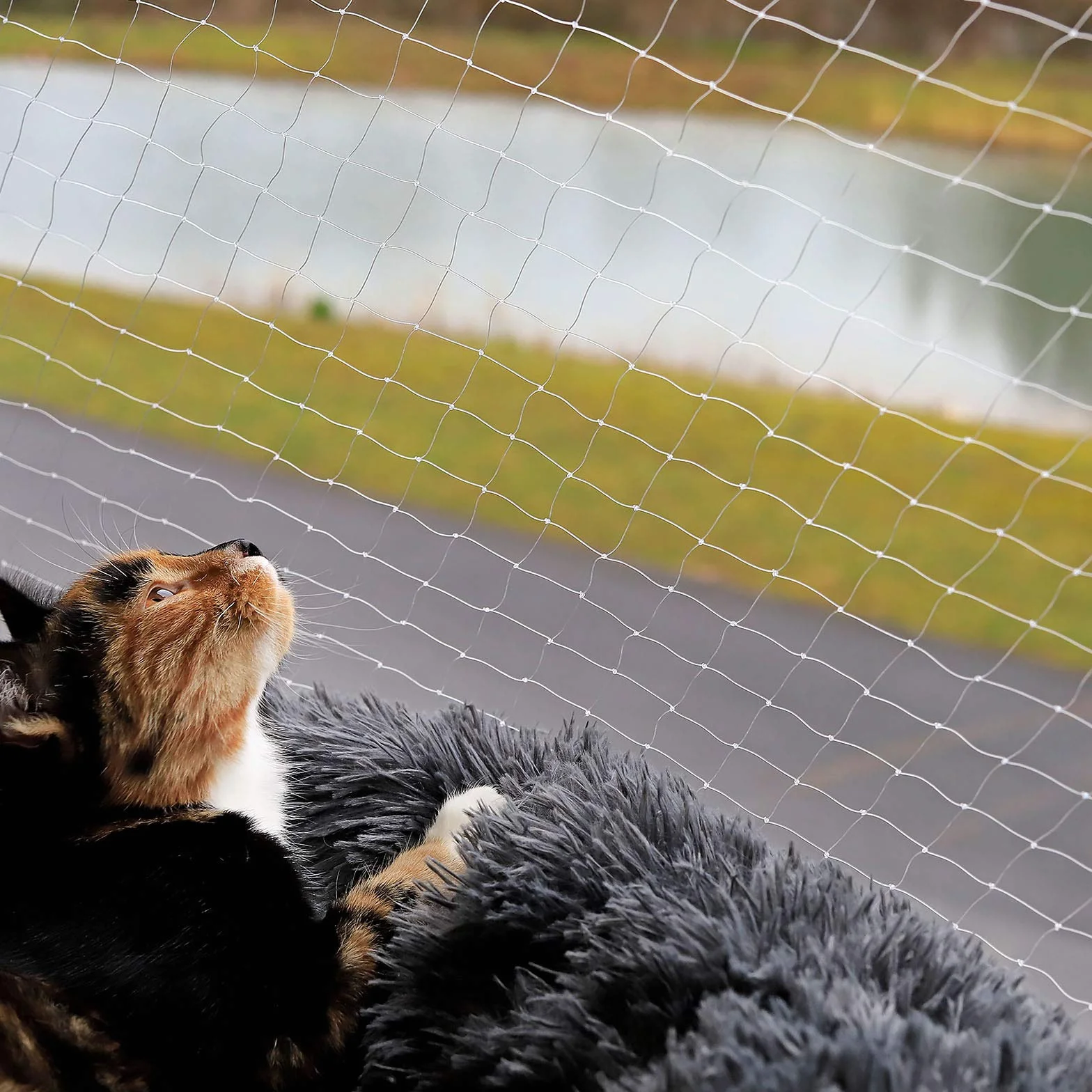 Filet de Protection pour Balcon pour Chats, Nylon Transparent 3x4 m, Résistant aux Intempéries, Installation sans Perçage