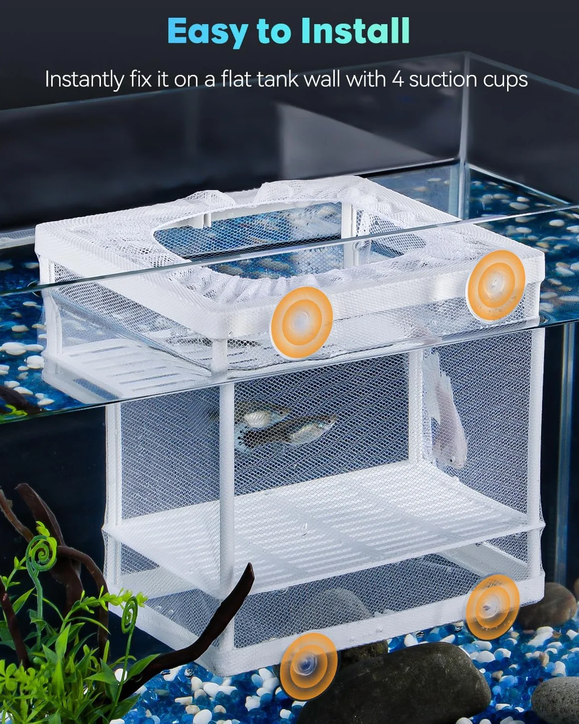 Pawfly Filet d'élevage pour Aquarium boîte de Reproduction Maille Nylon ventouses Filet de séparation écloserie incubateur alevins crevettes Betta