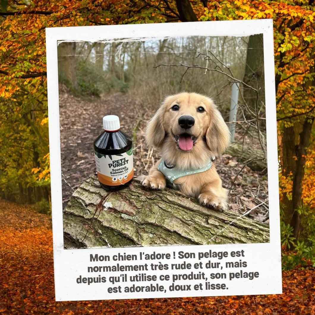 Pets Purest Huile de Saumon pour Chien et Chat 500ml Omega 3 6 9 Vitamine E