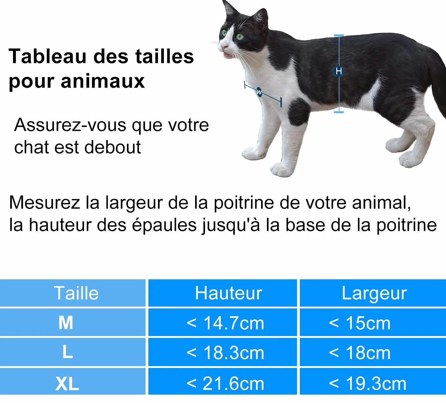 Chatière pour chat imperméabiliser avec verrou rotatif à 4 voies CEESC