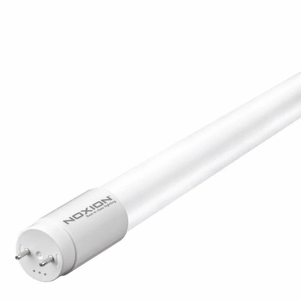 Noxion Tube LED T8 Avant 19W 2300lm 840 Blanc Froid 150cm Équivalent 58W