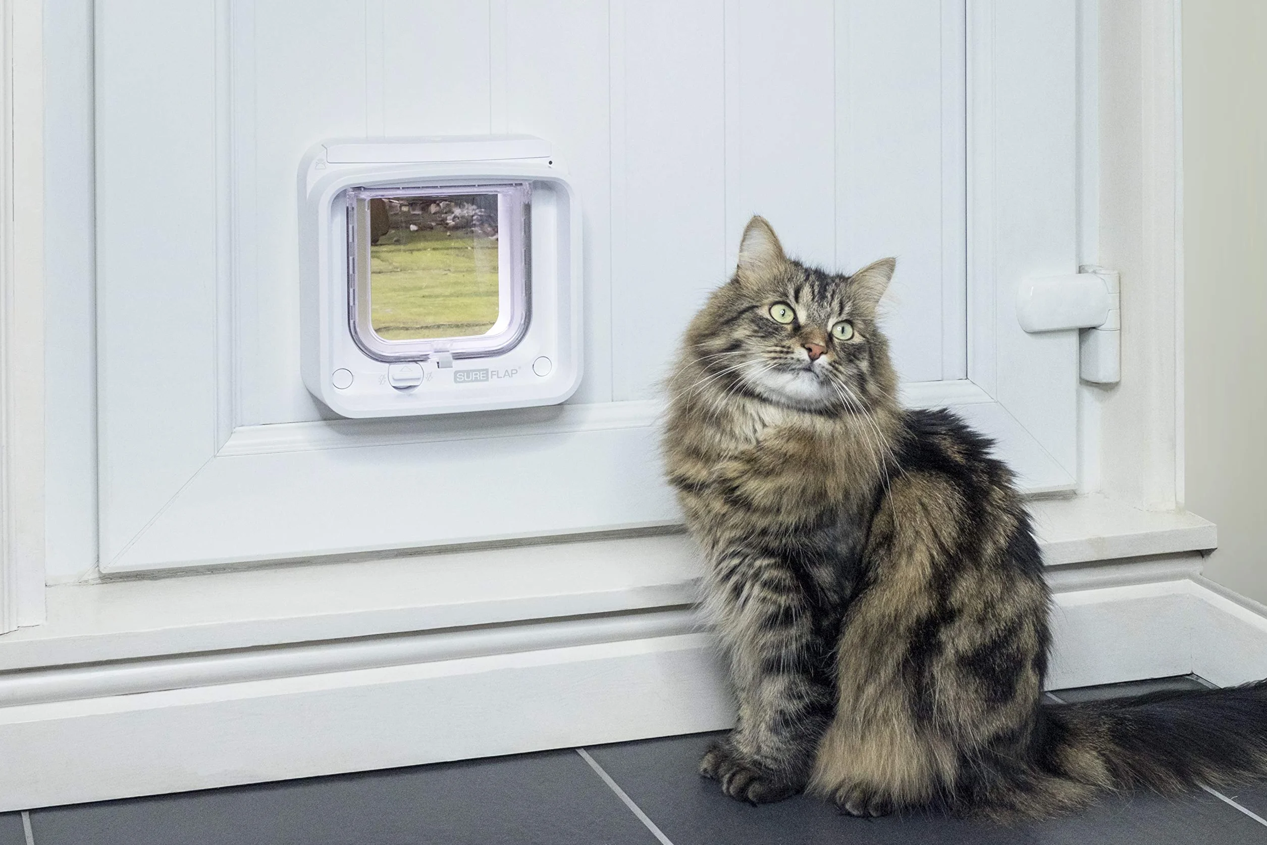 SureFlap Chatière à Puce électronique Connect DualScan Compatible Application Blanc