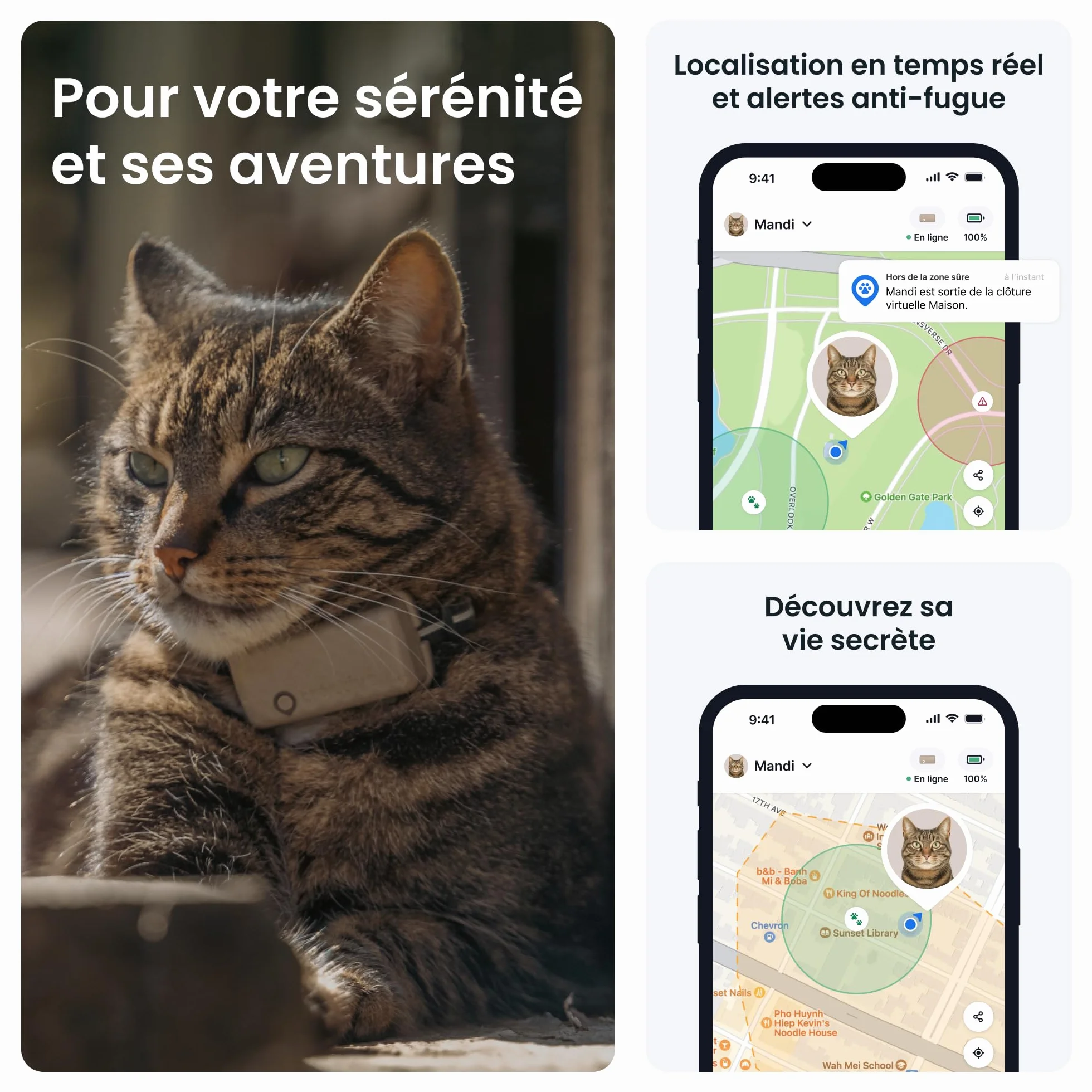 Tractive Collier GPS Chat Connecté Mini Localisation en Direct Historique Fonction Territoire Marron