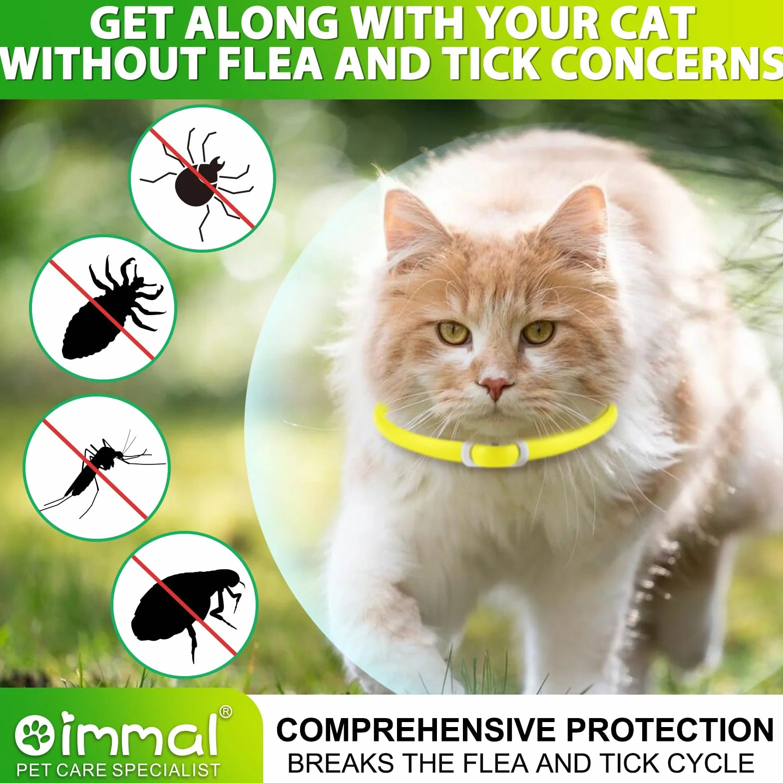 Collier pour Chat Imperméable Anti-Puces et Tiques, Ensemble de 4, Protection 24 Mois