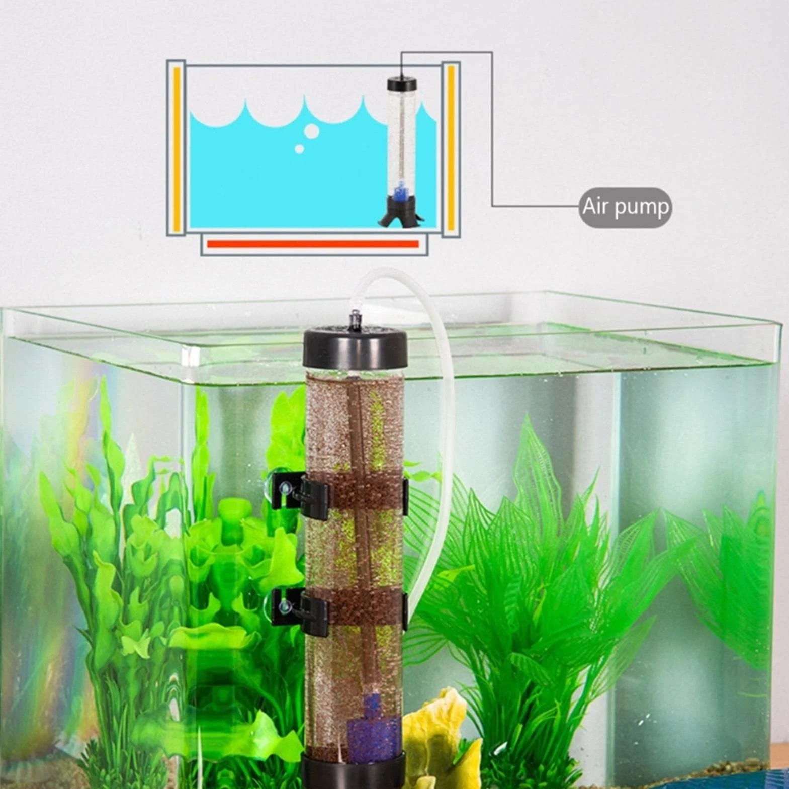 Écloserie d'œufs d'Artemia Incubateur pour Aquarium