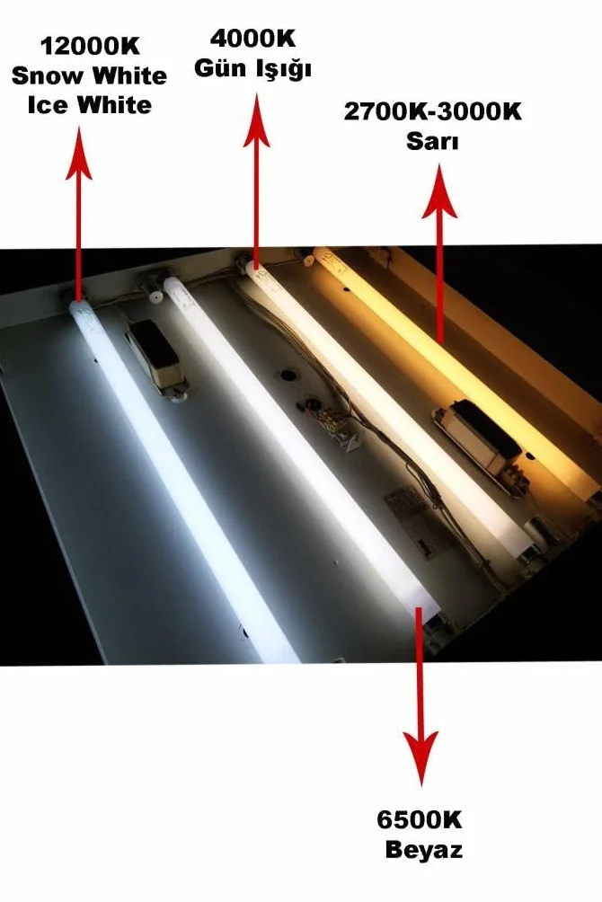 Philips Ampoule fluorescente TL-D 36 W 827