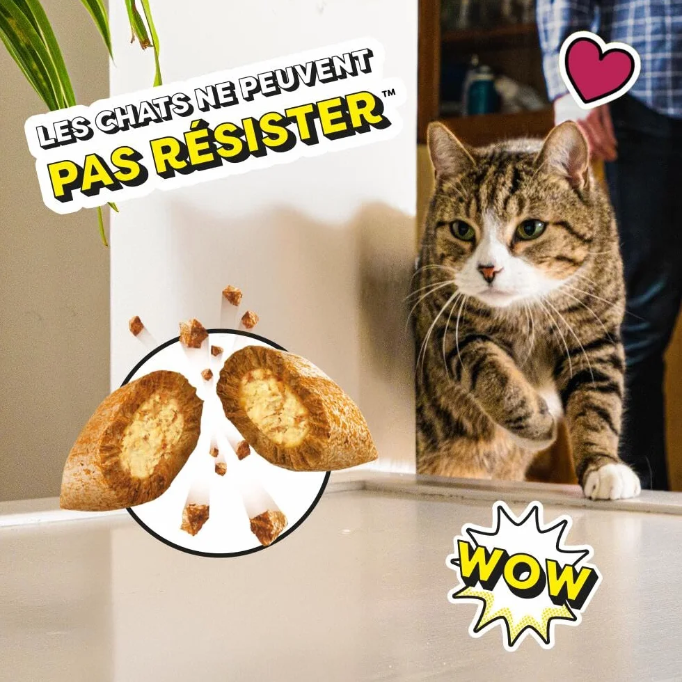 Friandises pour Chat et Chaton au Canard - Lot de 6 Sachets de 60g - Croquantes Tendres