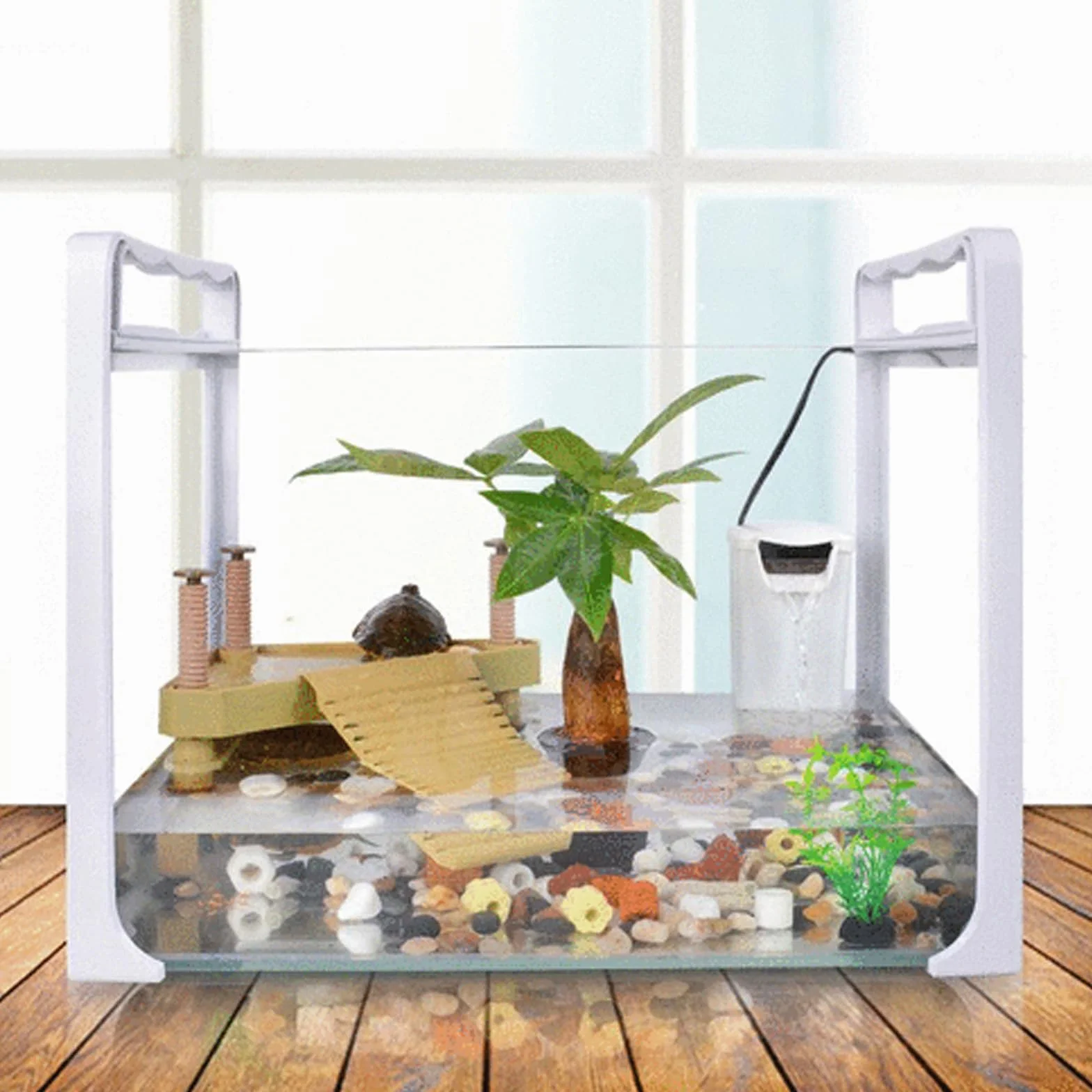 Plateforme Flottante pour Tortue avec Échelle Moyen