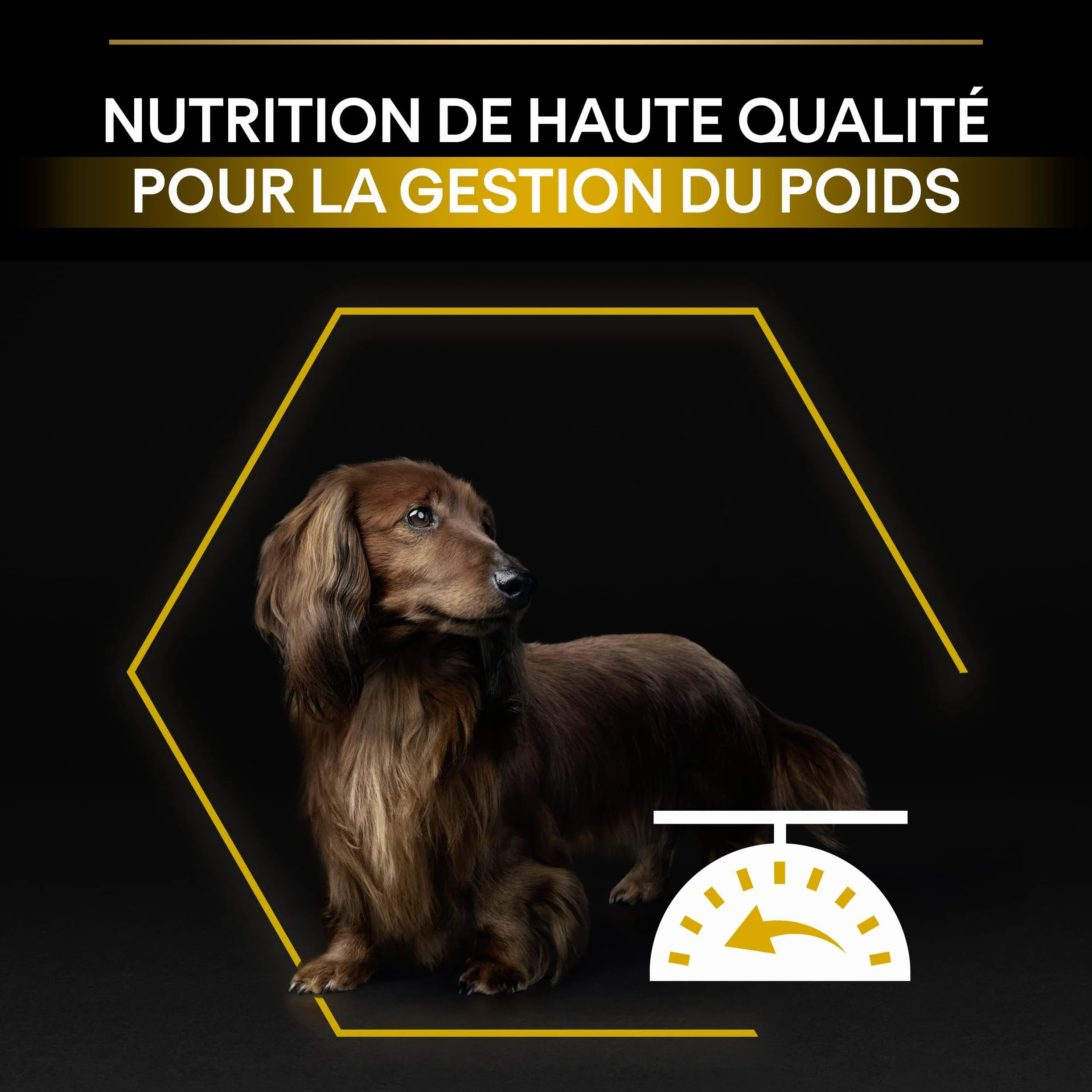PRO PLAN Small & Mini Adult Light Sterilised Riche en Poulet 3KG Croquettes pour chiens adultes