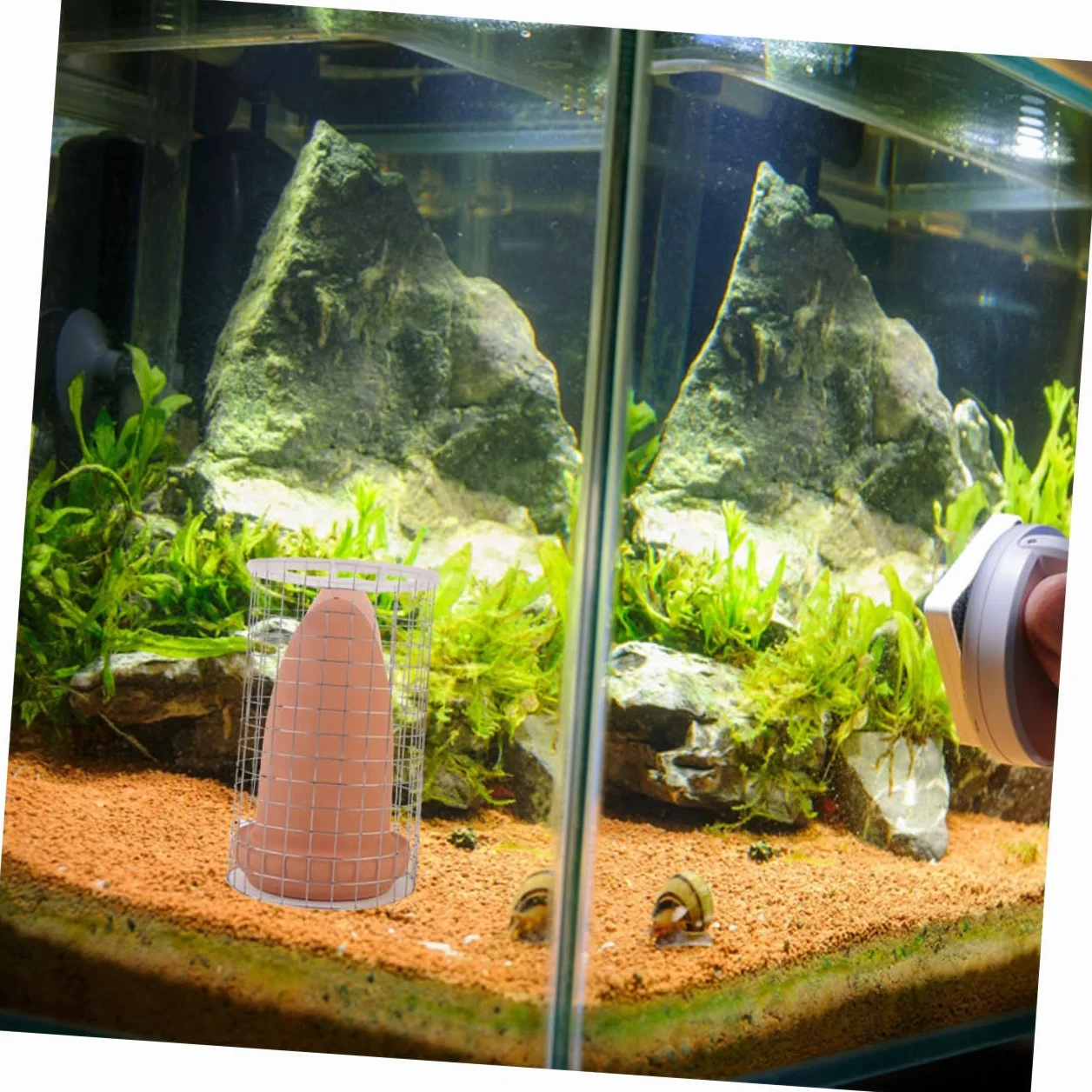 Cône de Reproduction en Argile Moyen, Seau d'Élevage pour Poissons Discus et Crevettes, Baril de Ponte avec Filet de Séparation, Ornement d'Aquarium pour Reproduction
