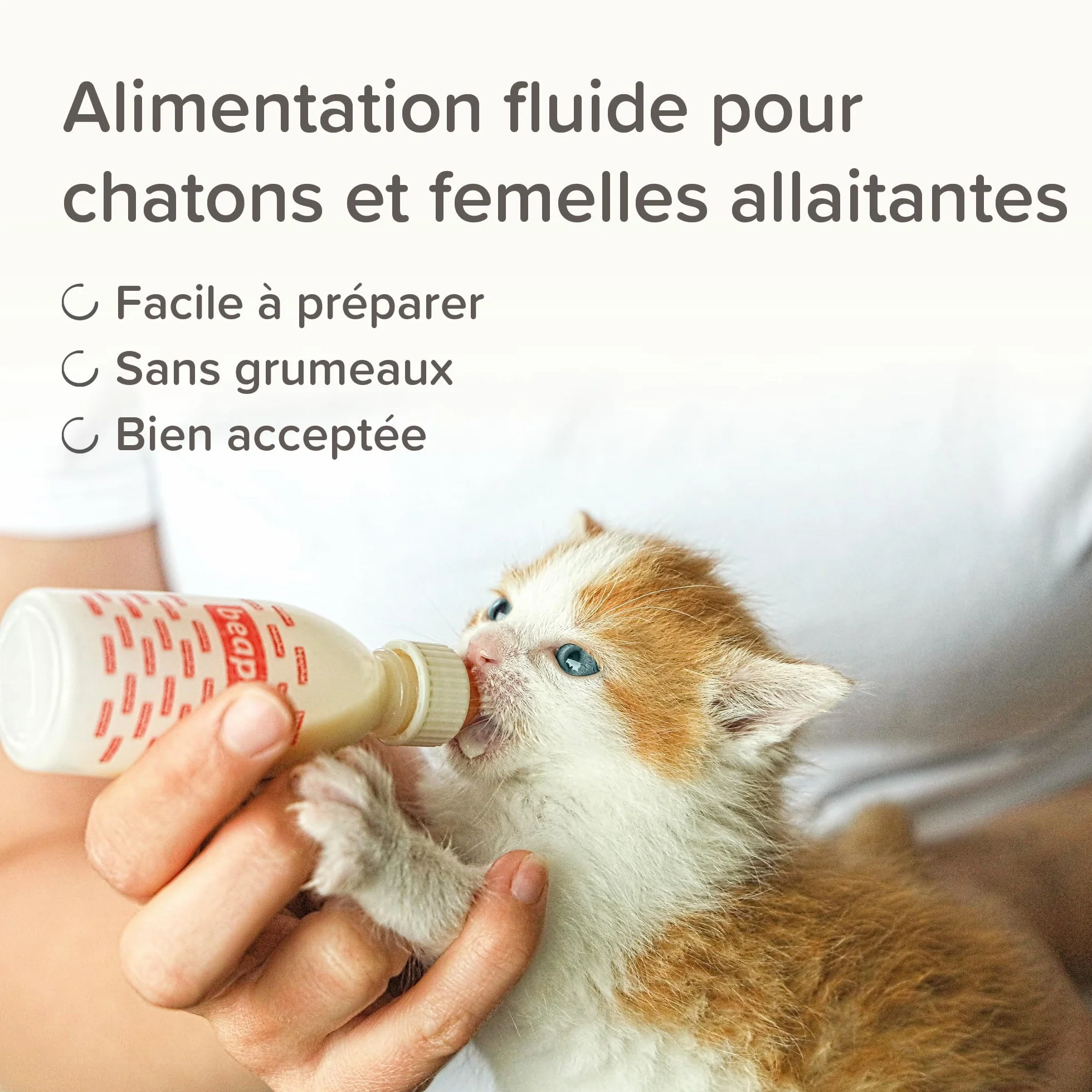 BEAPHAR LACTOL Lait maternisé pour Chaton en Poudre 250 g