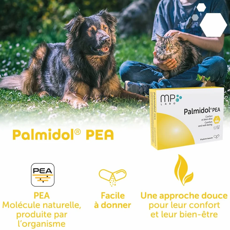 MP Labo Palmidol® PEA 30 Gélules - Complément pour Chien et Chat - Palmitoyléthanolamide et Astaxanthine