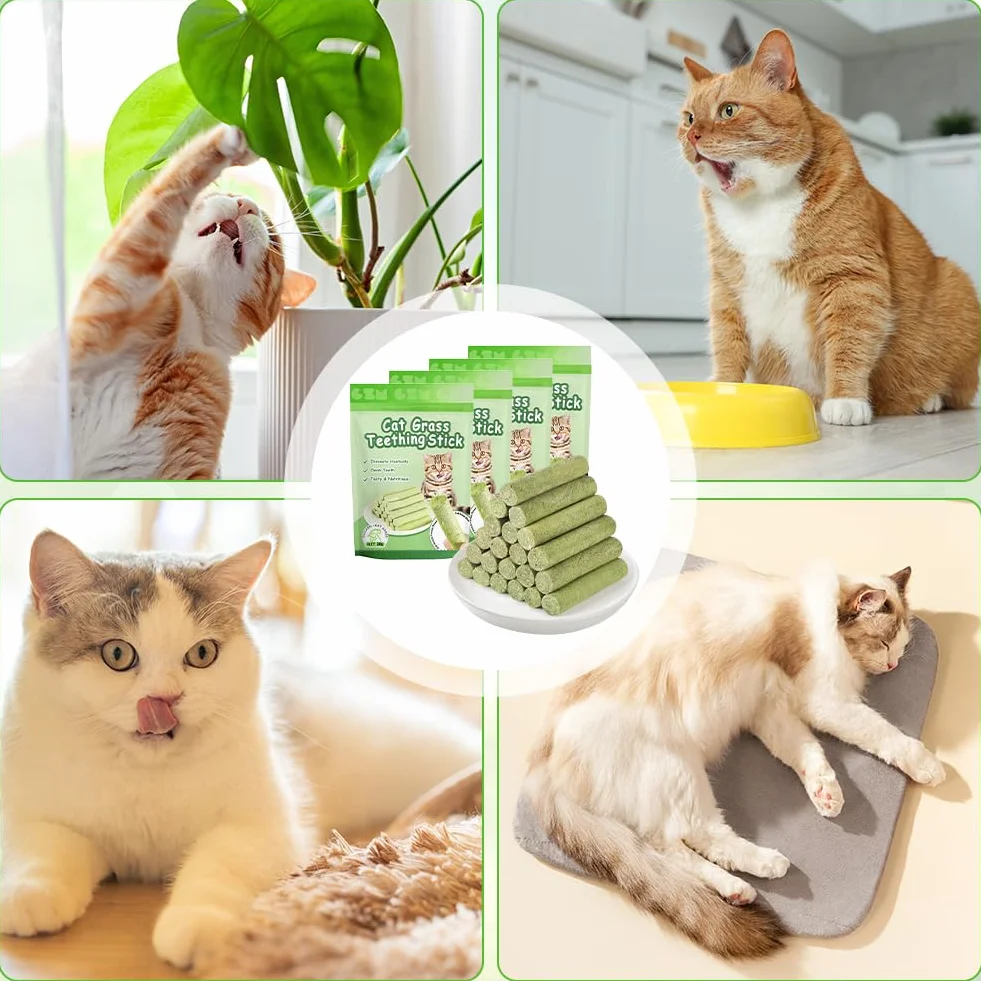 Bâton d'herbe à Chat 24pcs Bandes Lyophilisé Comestible Nettoyage des Dents Élimination Boules de Poils