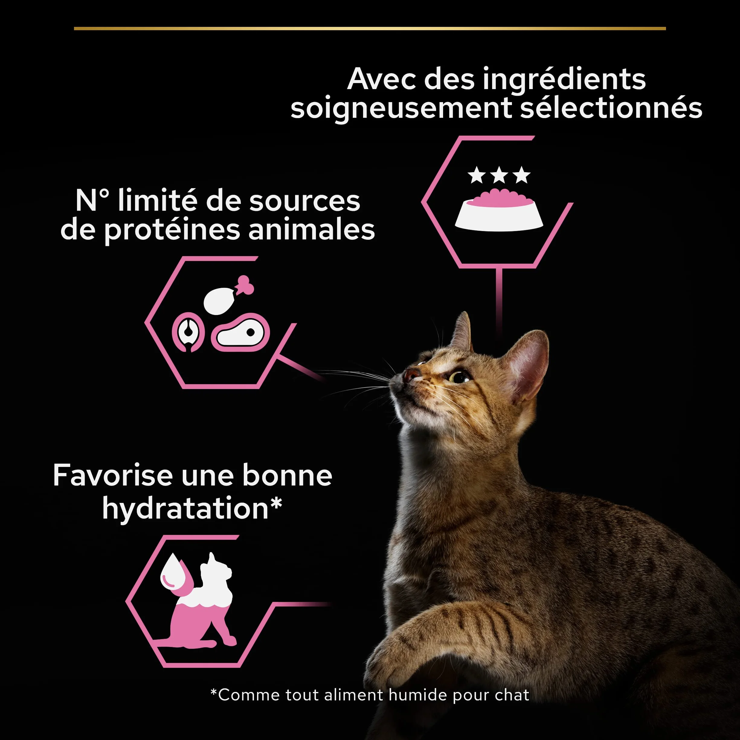 PURINA PRO PLAN Aliment Complet pour Chat Adulte DELICATE DIGESTION Effilés en Sauce à la Dinde 10x85g