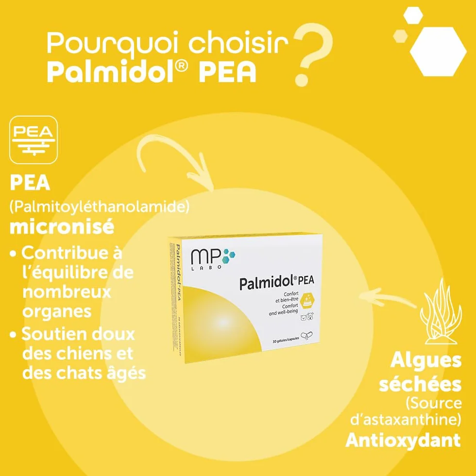 MP Labo Palmidol® PEA 30 Gélules - Complément pour Chien et Chat - Palmitoyléthanolamide et Astaxanthine