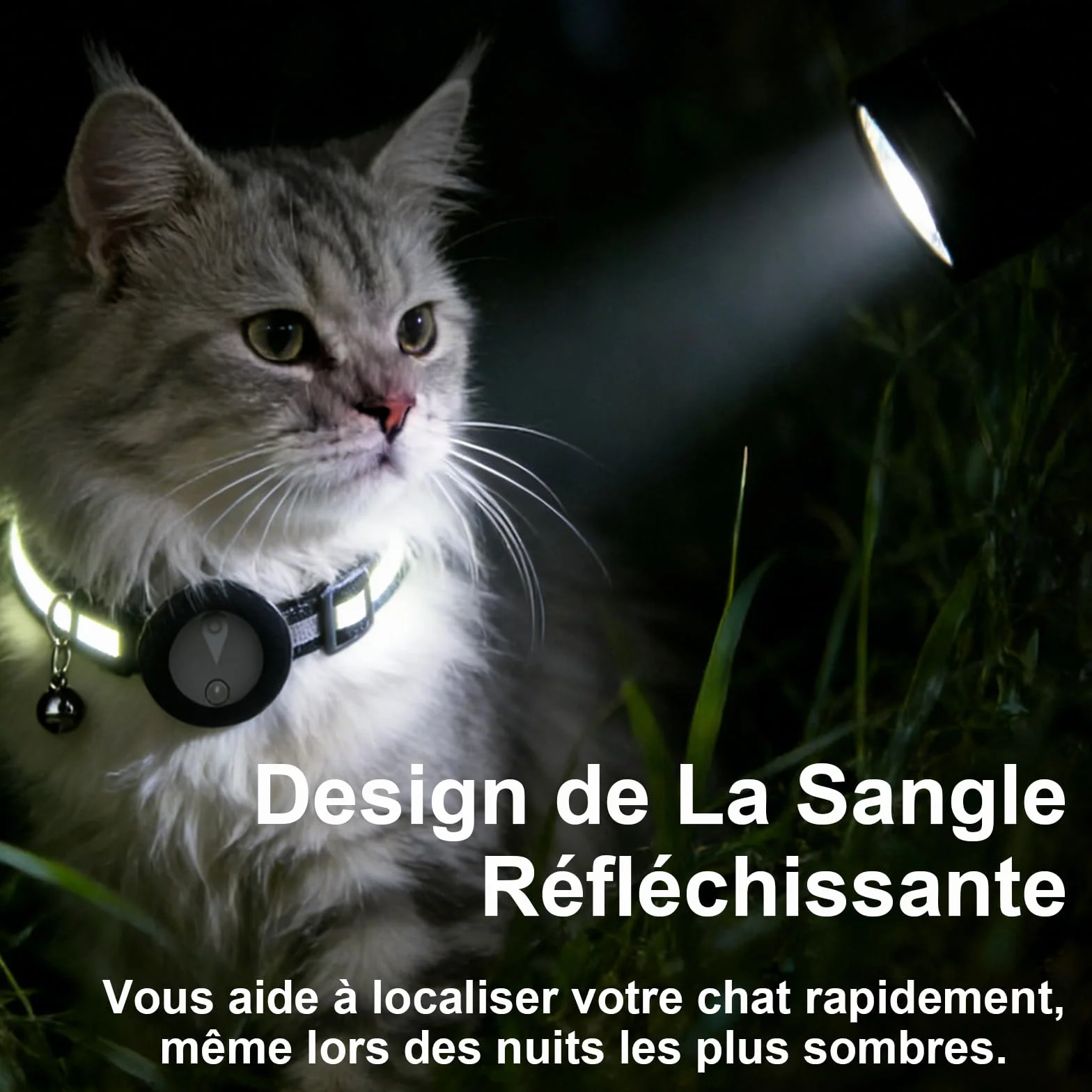Collier GPS Chien Suivi Temps Réel Étanche IP67 Noir Mat Compatible iOS Android Enregistrement Trajets 7 Jours