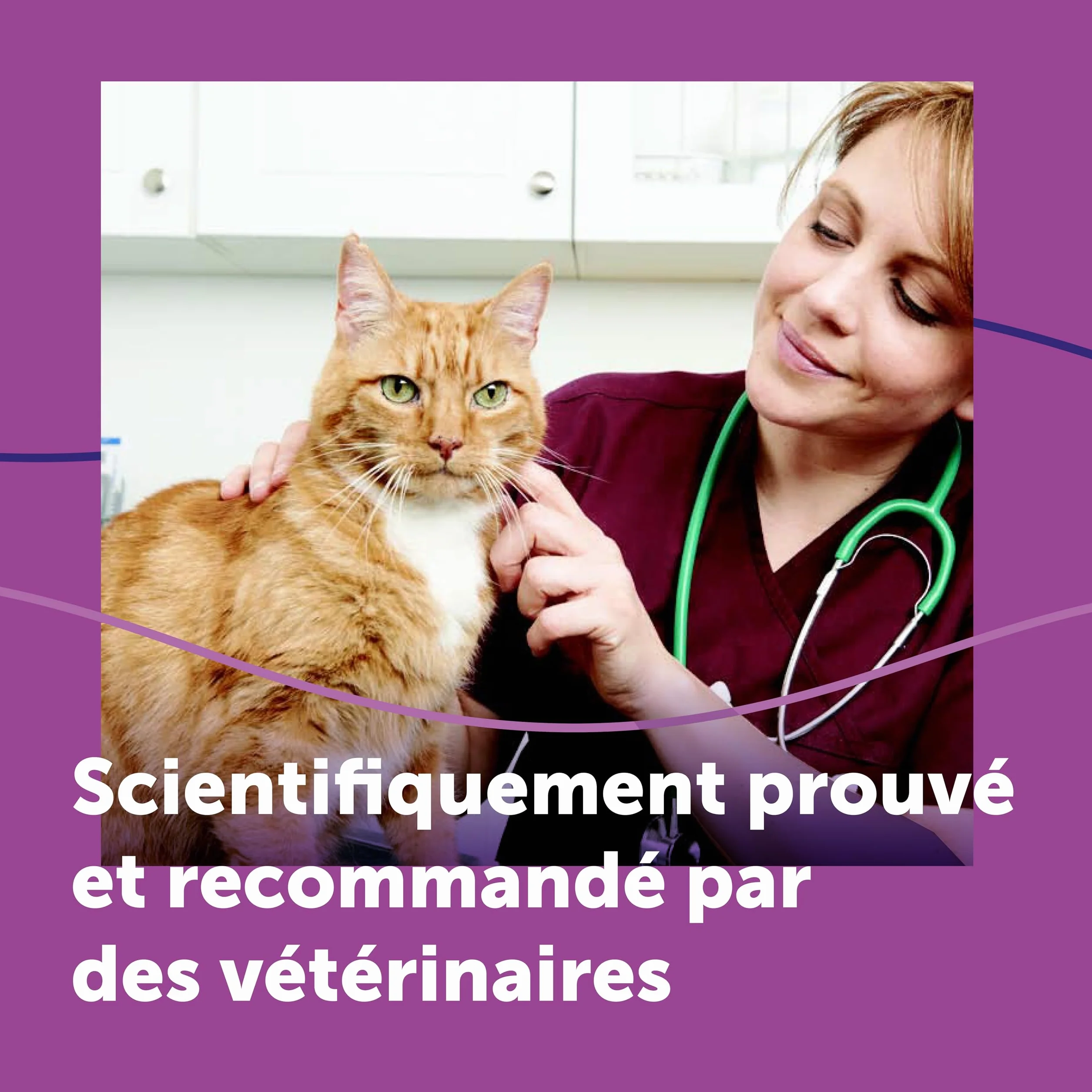 FELIWAY Classic Spray 60 ml - Phéromones Apaisantes pour Chats - Apaise le Stress et le Transport