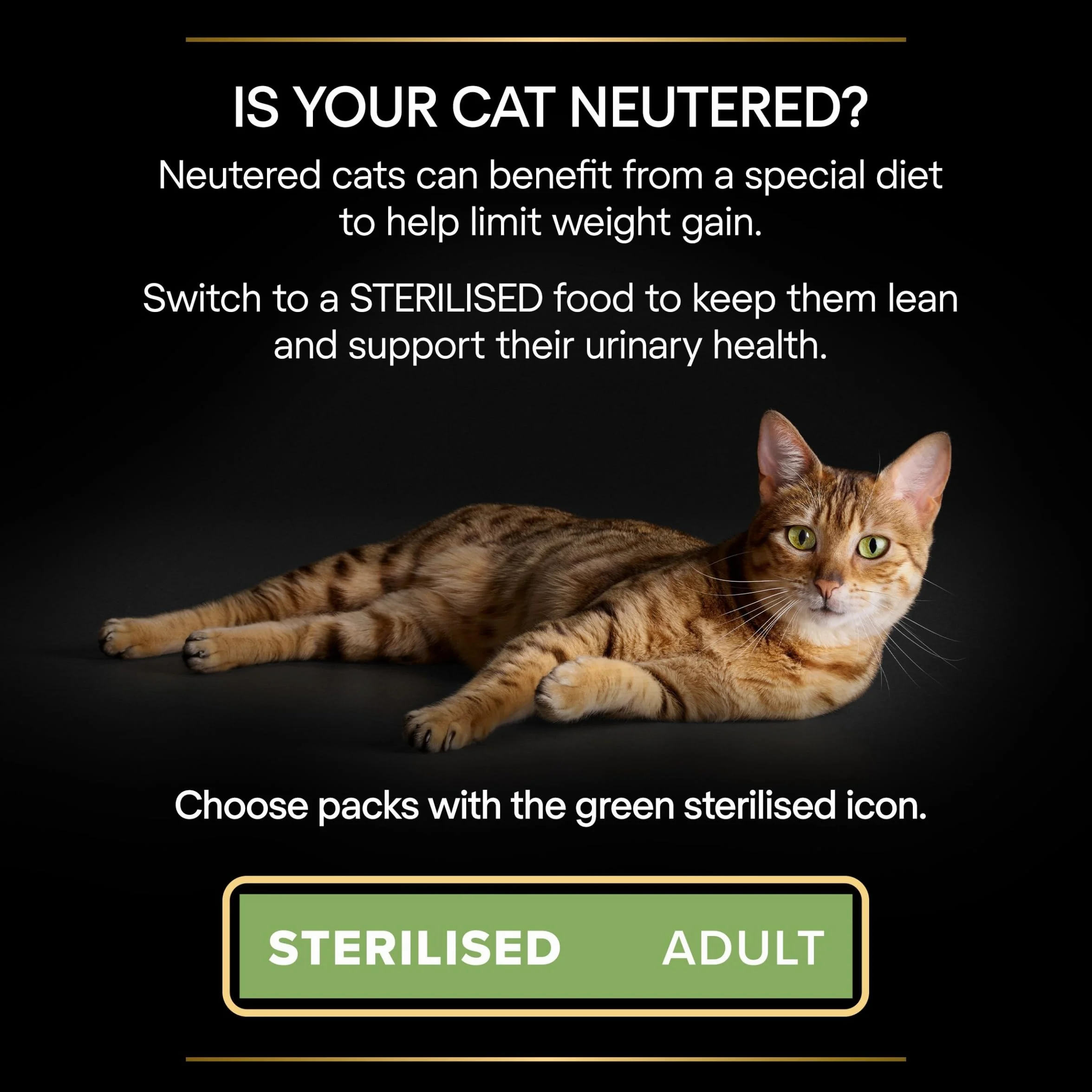 PURINA PRO PLAN Adult STERILISED MAINTENANCE Aliment Complet pour Chat Adulte Stérilisé Effilés en Sauce Poulet, Boeuf Sachets 40x85g
