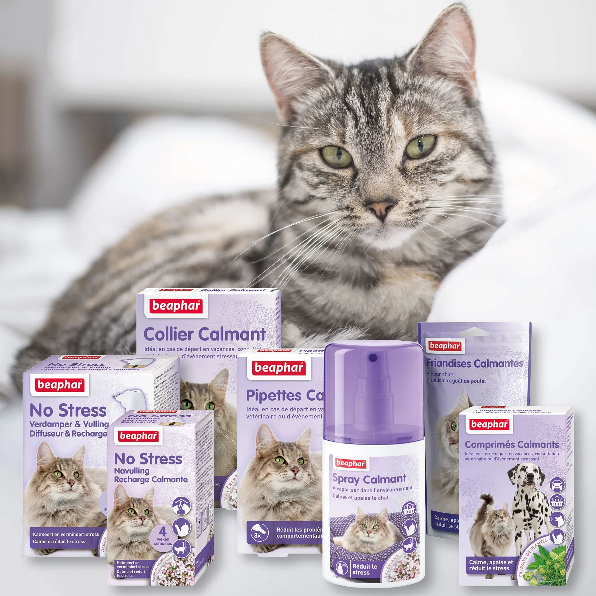 Beaphar NO Stress Recharge diffuseur électrique calmant Valériane Chat 30 ML 4 semaines