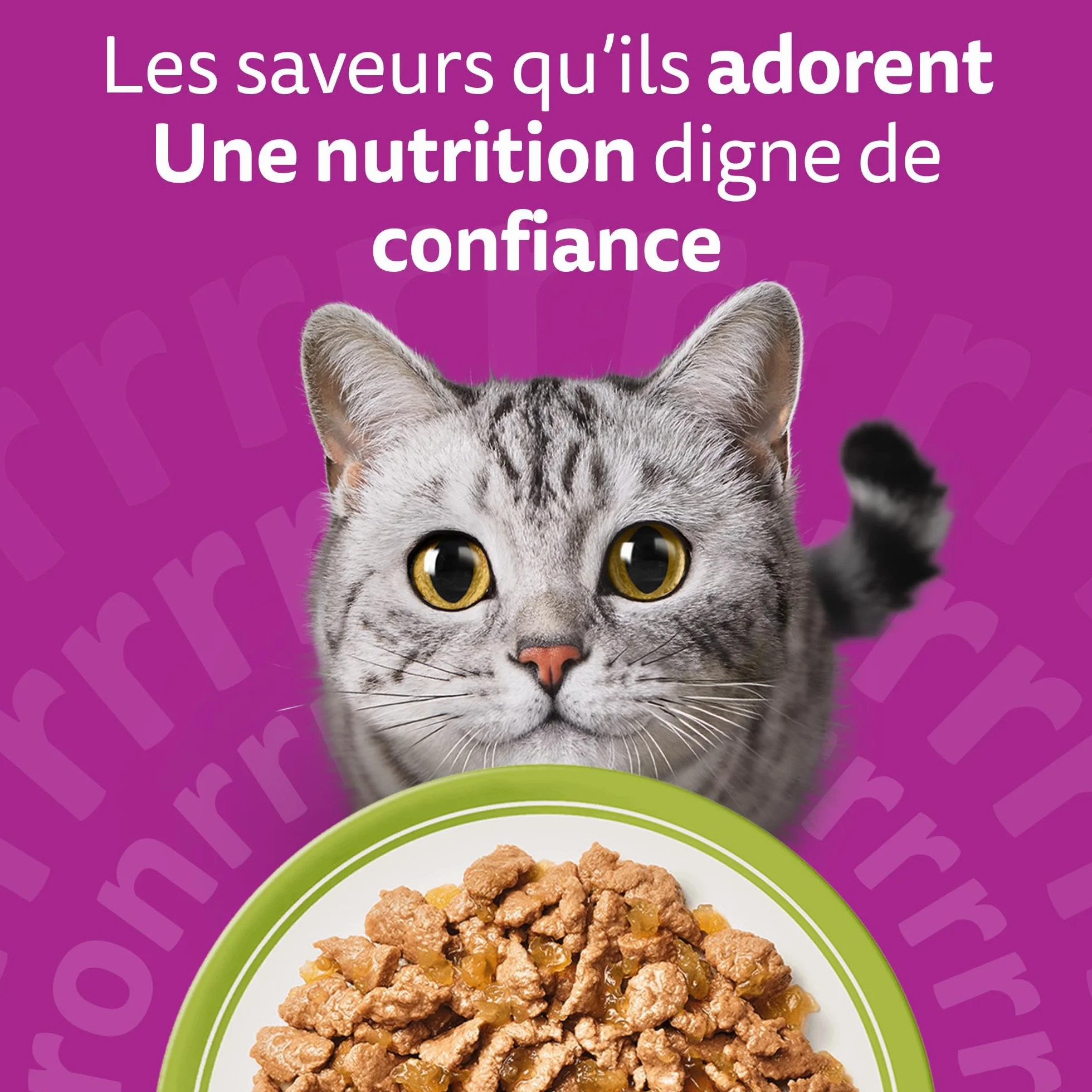 WHISKAS Repas 48 Sachets Fraîcheur La Carte Mixte Pâtée pour Chat Adulte en Gelée Nourriture Humide Complète