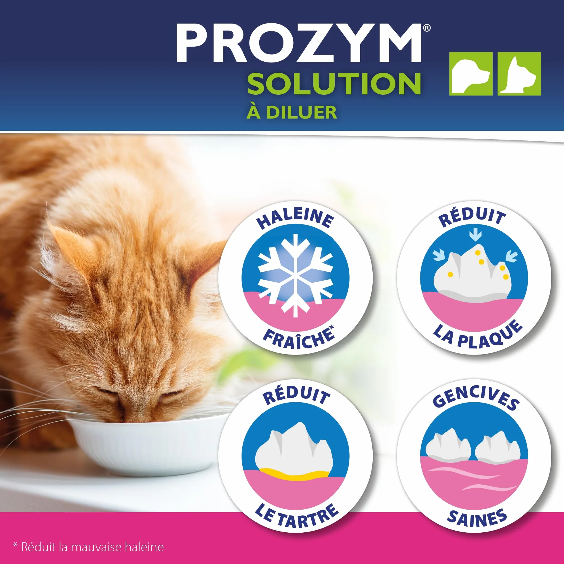 Prozym Solution Dentaire Chiens Chats Anti-tartre Haleine fraîche