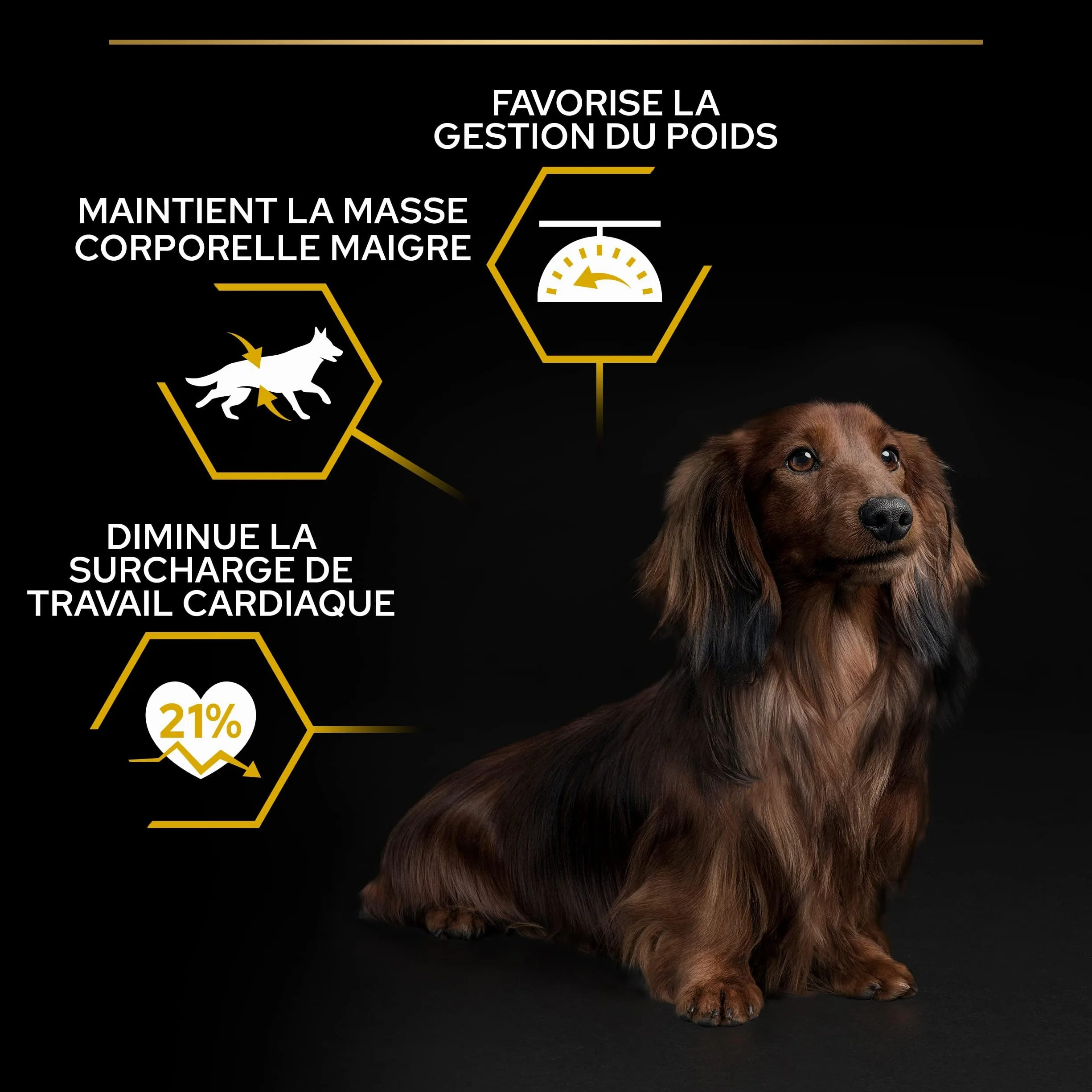 PRO PLAN Small & Mini Adult Light Sterilised Riche en Poulet 3KG Croquettes pour chiens adultes