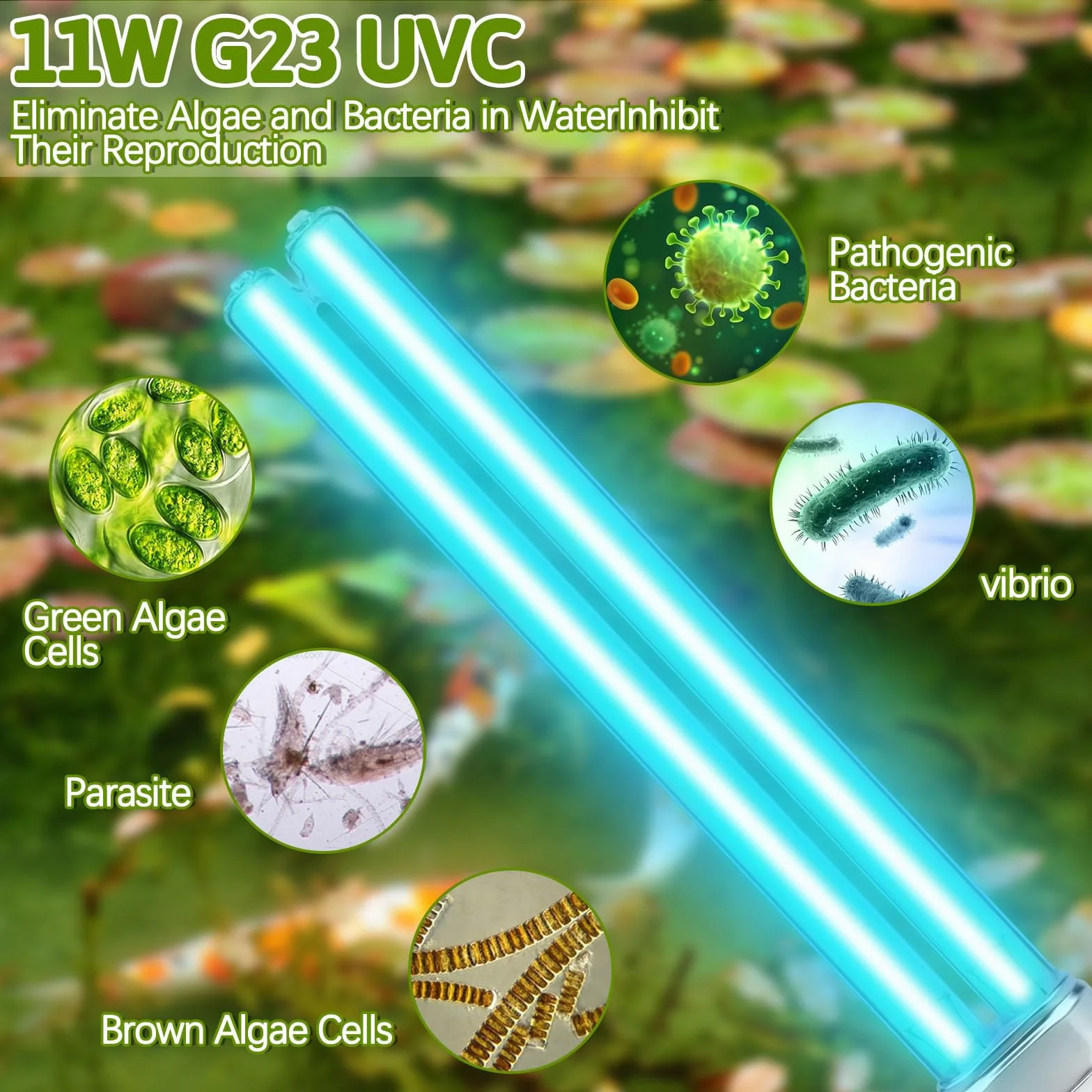 Ampoules UVC 11W 2 Broches G23 PLS Remplacement pour Filtre de Bassin, Étangs à Poissons
