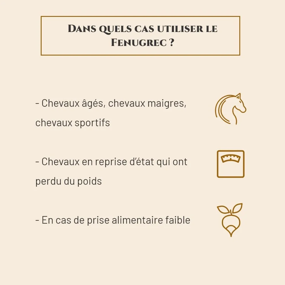 FENUGREC Complément nutritionnel Cheval Seau 1 kg Développement des Muscles Energie Marque Française