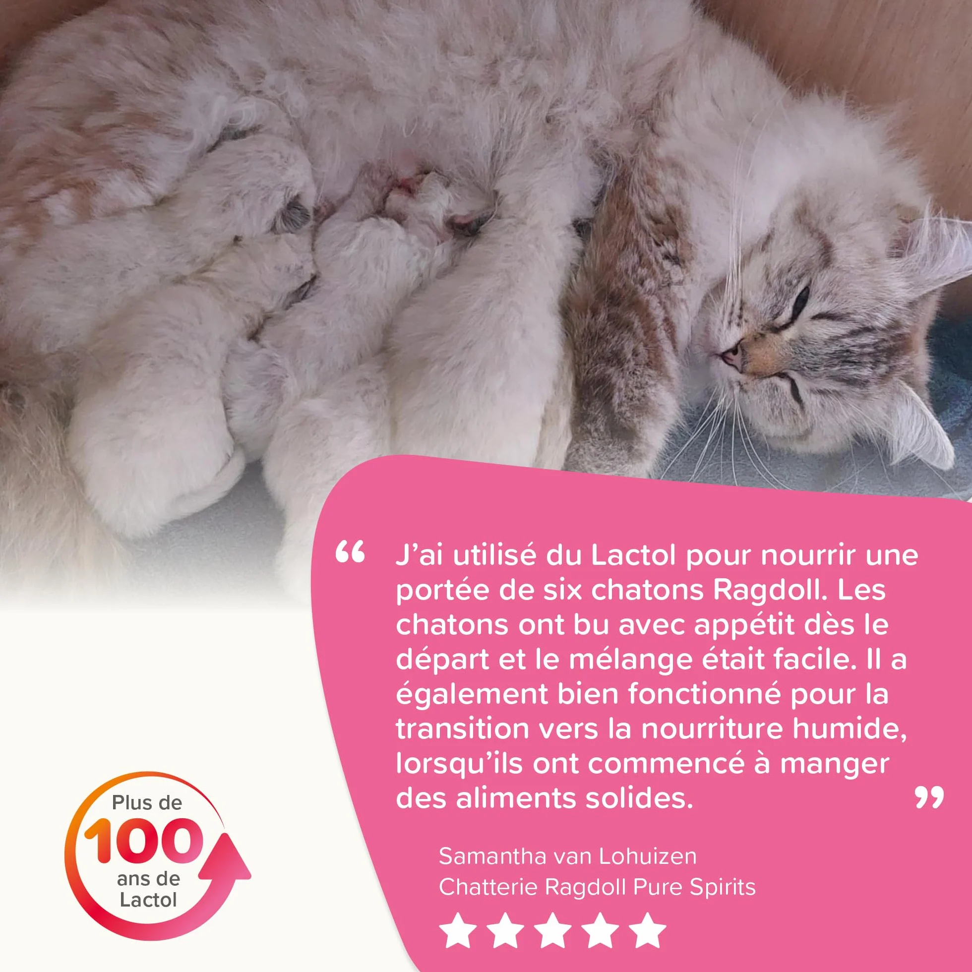 BEAPHAR LACTOL Lait maternisé pour Chaton en Poudre 250 g