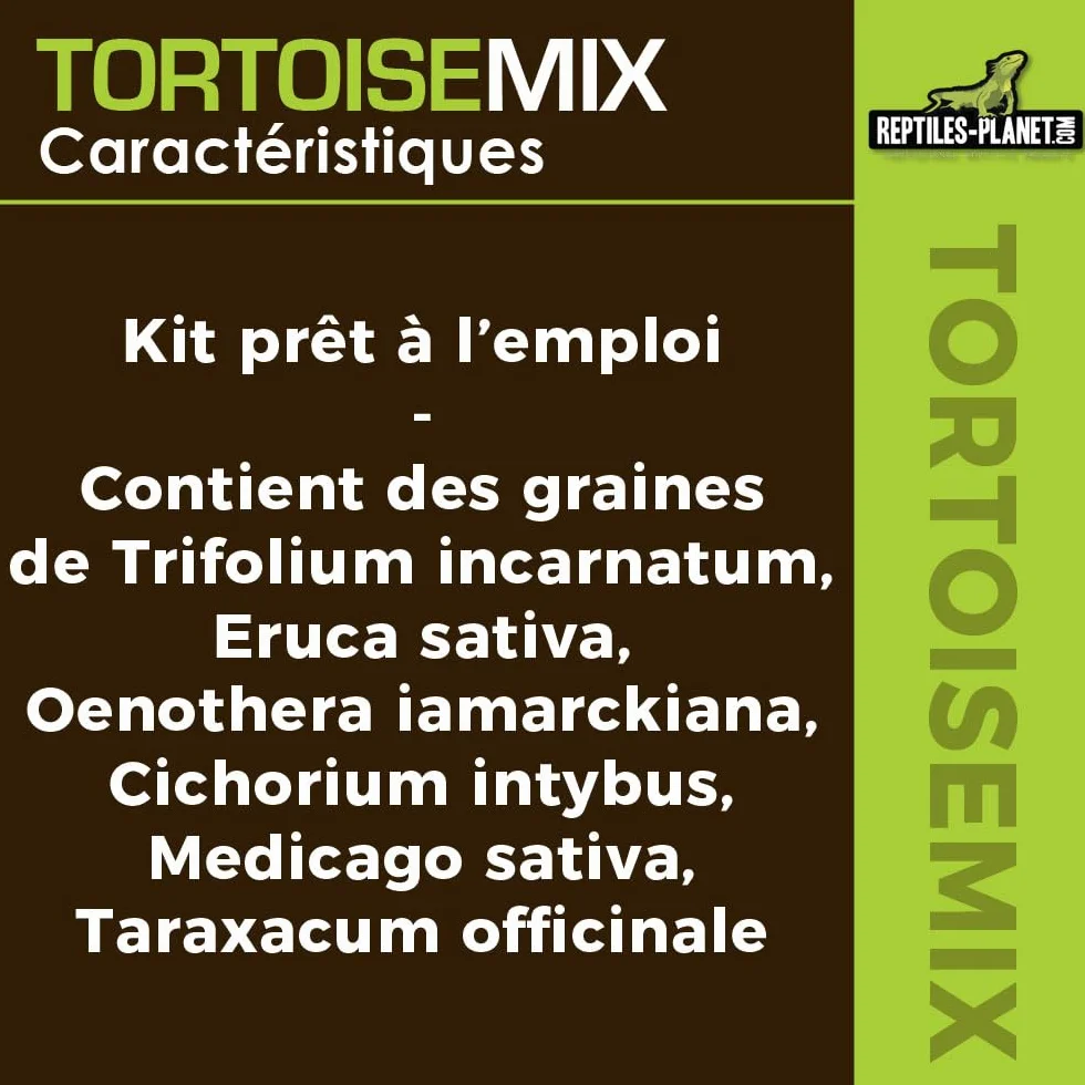 Reptiles Planet Tortoisemix Mélange de Graines à Germer Nourriture pour Tortues Terrestres