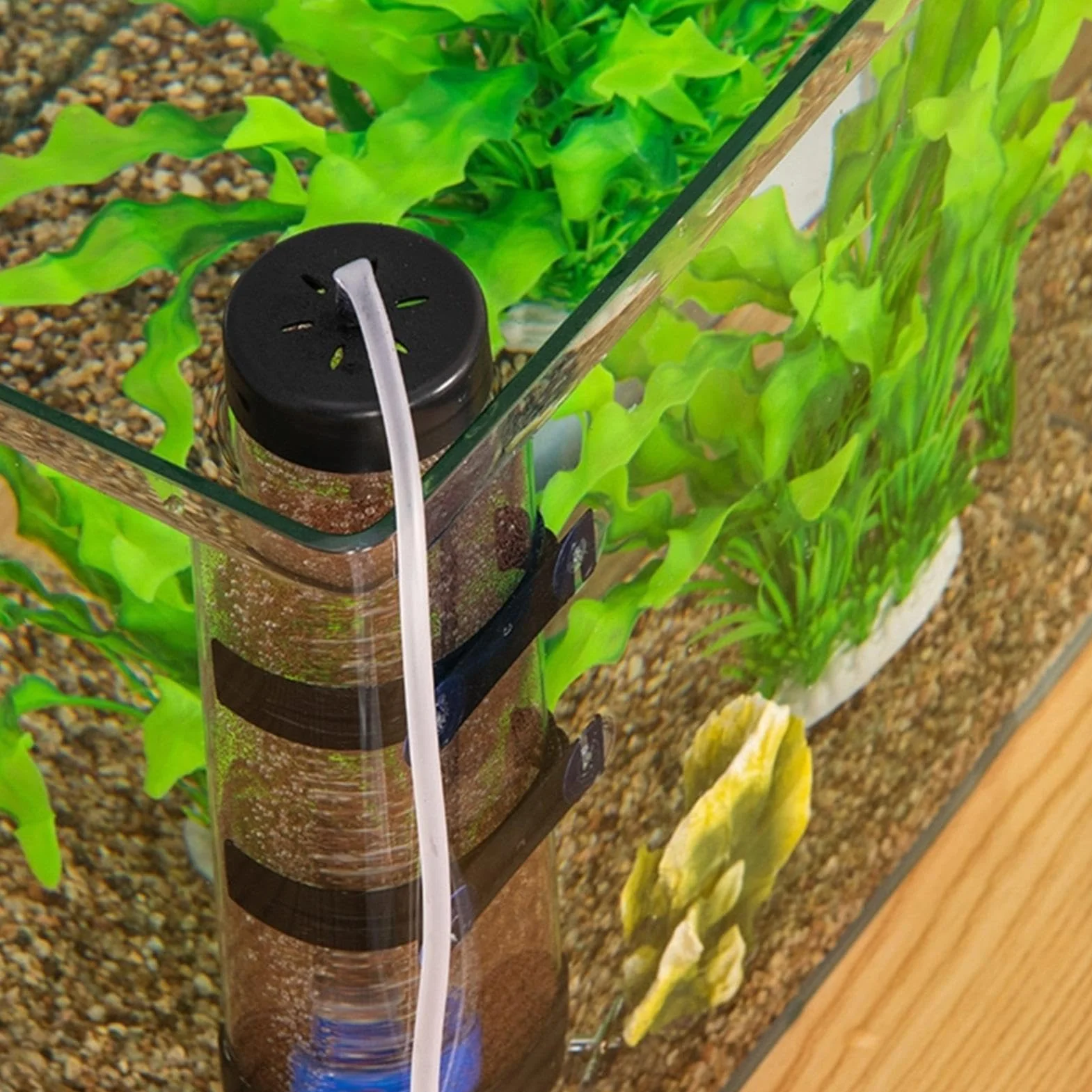Écloserie d'œufs d'Artemia Incubateur pour Aquarium